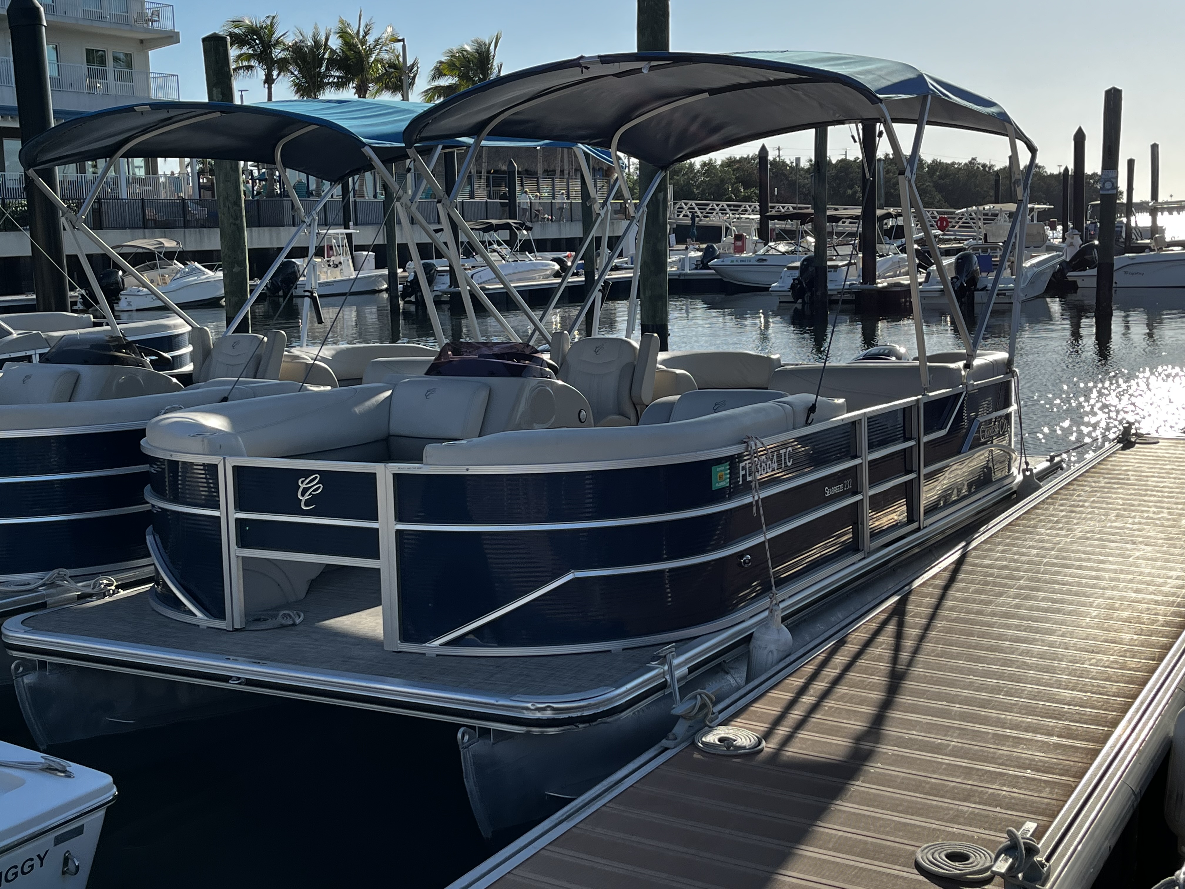 CATCHING RAYS (22 FT Pontoon 115 HP - Fishing or Cruising)