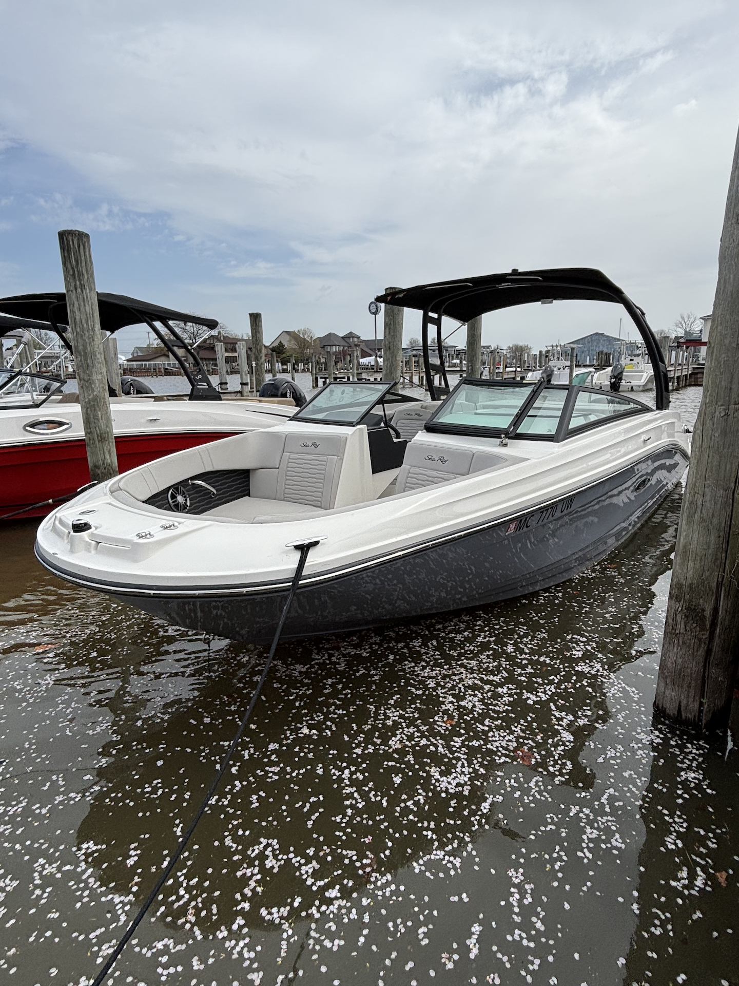 Sea Ray SPO 230 - Gray