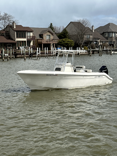 Cobia 237CC