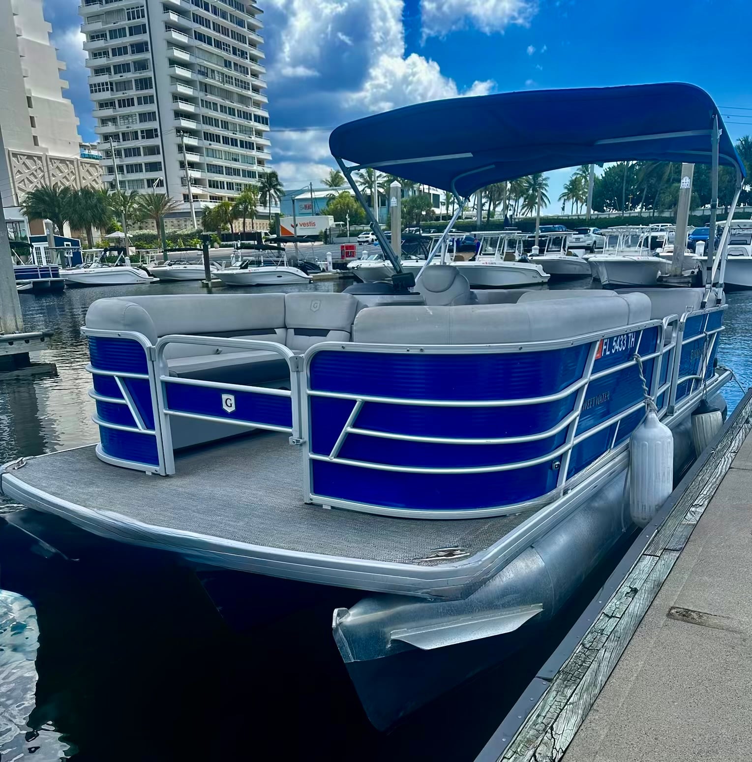 BEAUTIFUL PORPOISE (22 FT Sweetwater Pontoon 115 HP - Fishing or Cruising)