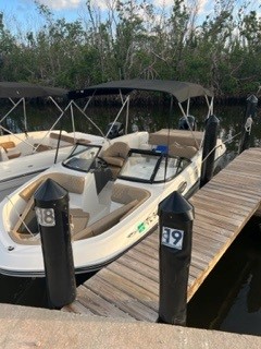 CHILL PILL (Bayliner 22' Deck Boat 150 HP - Cruising)