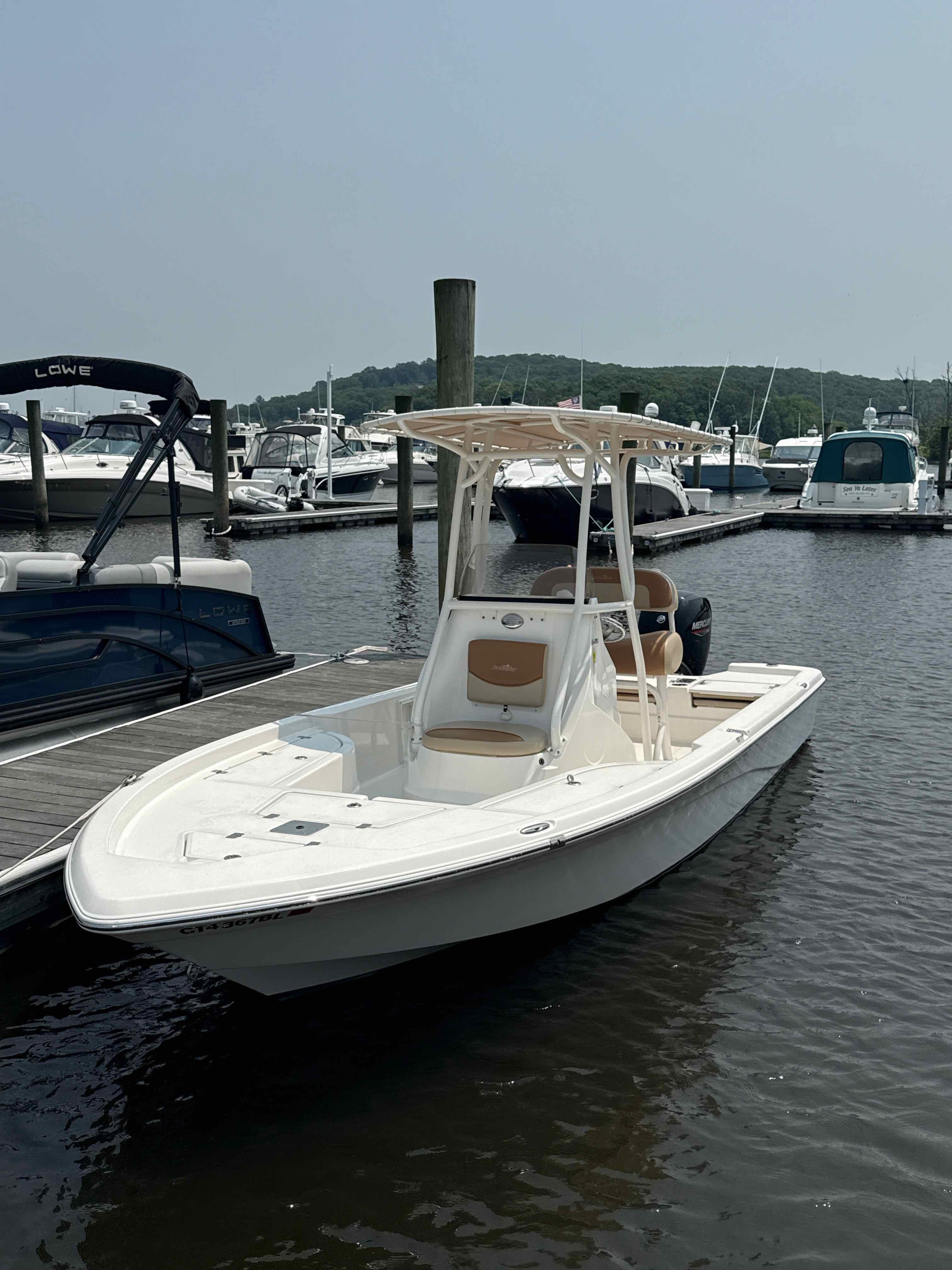 Cheddar  (21' NauticStar 150 HP)