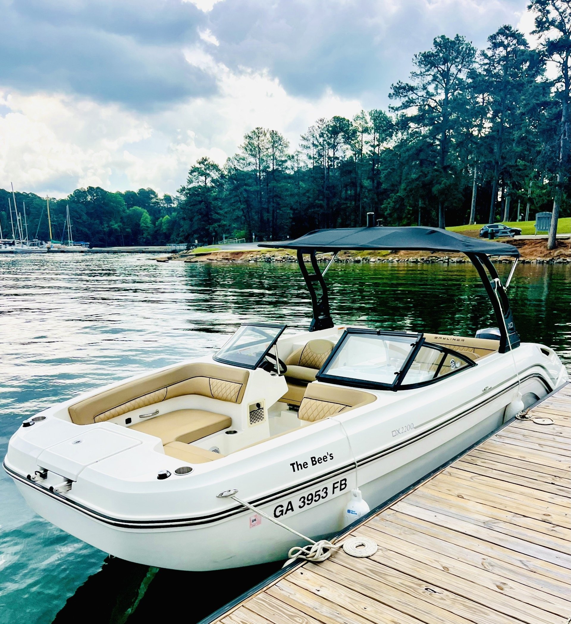 THE BEES (23' Bayliner DX2200-150HP-Cruising)
