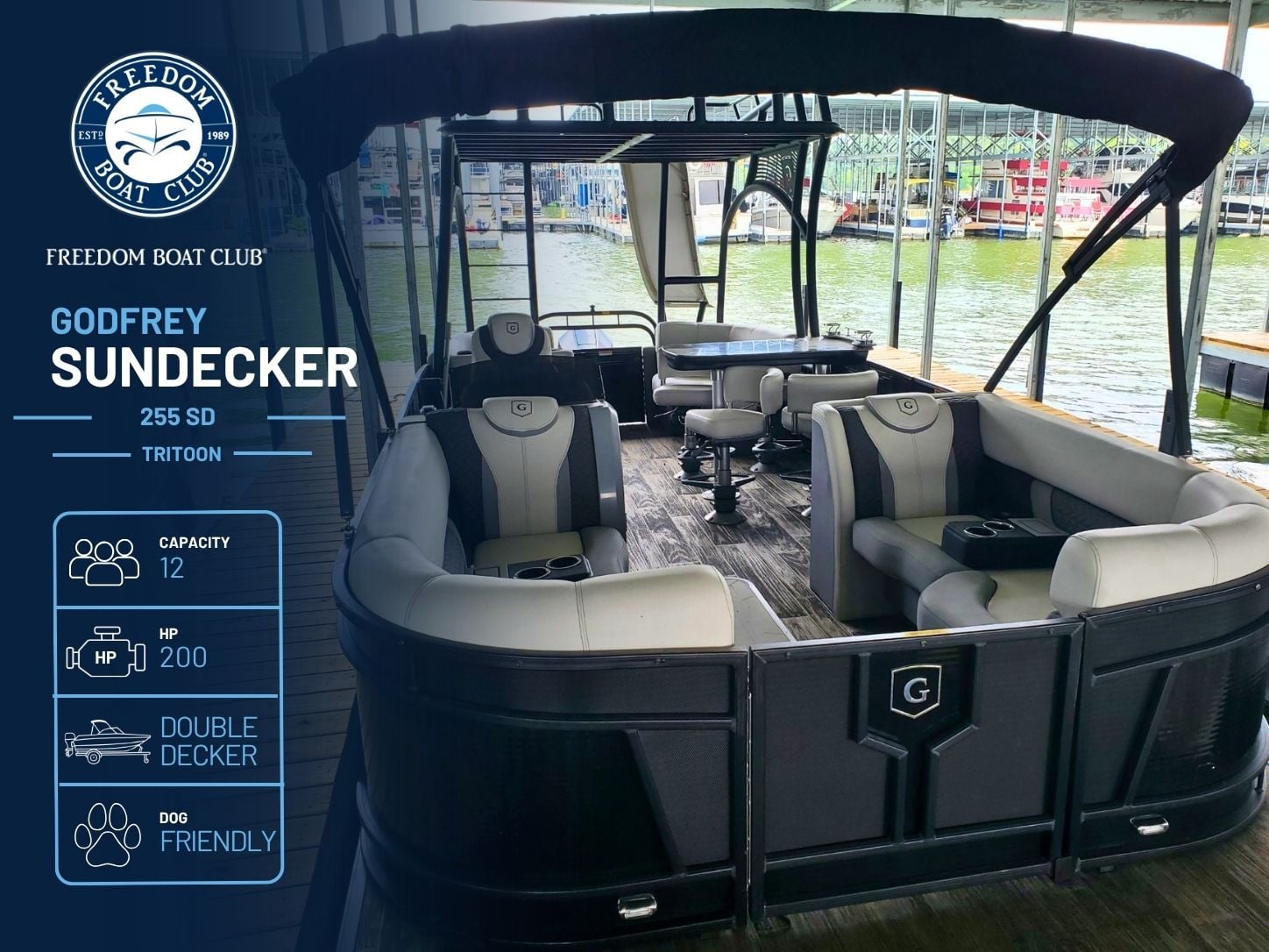 Notorious - Slidetoon Double Decker