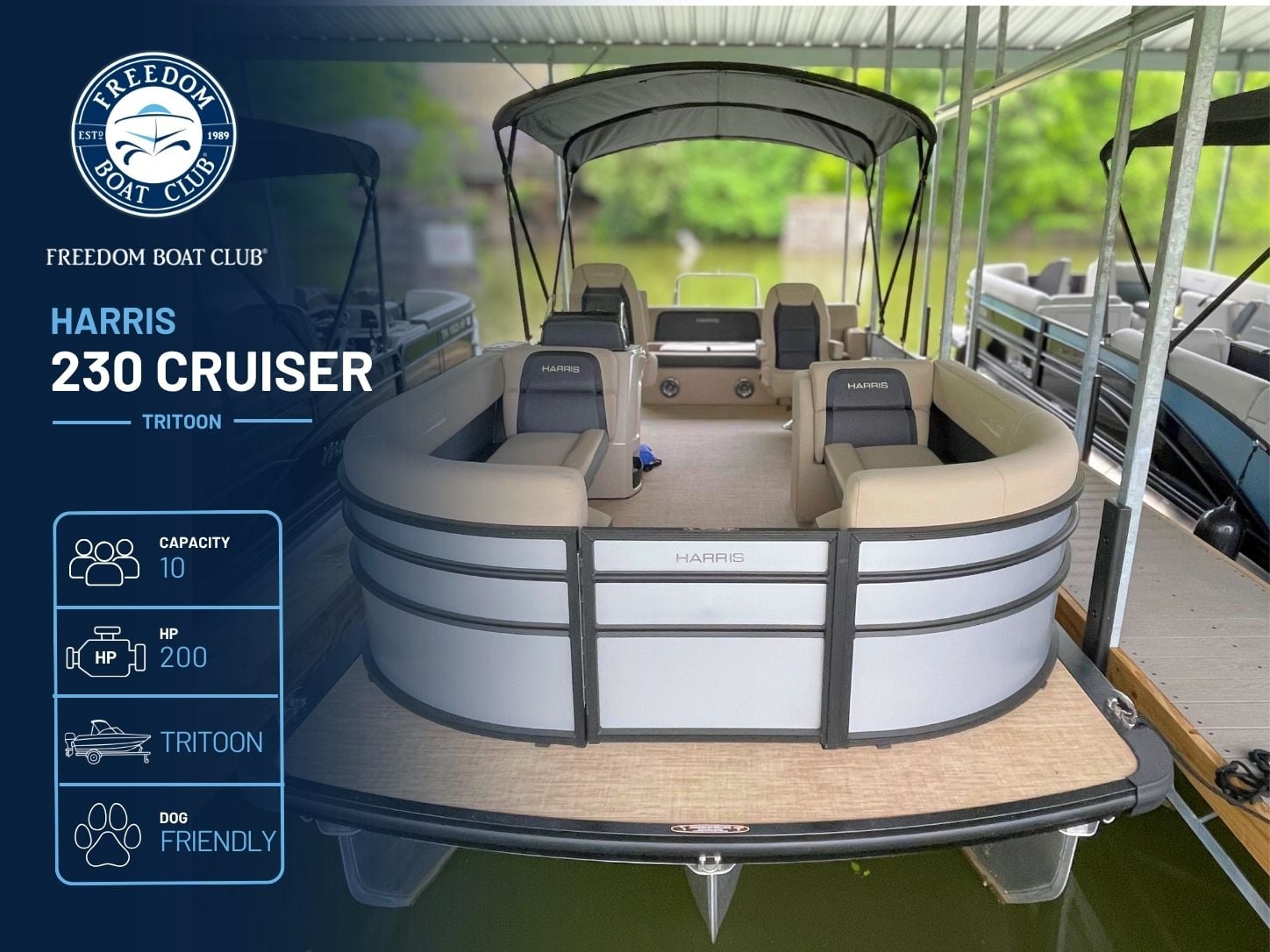 Silver Pearl - Harris Cruiser - Tritoon