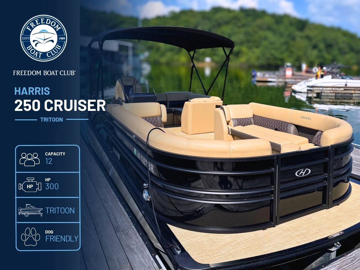 Marley - Harris Sunliner - Tritoon (Elite)