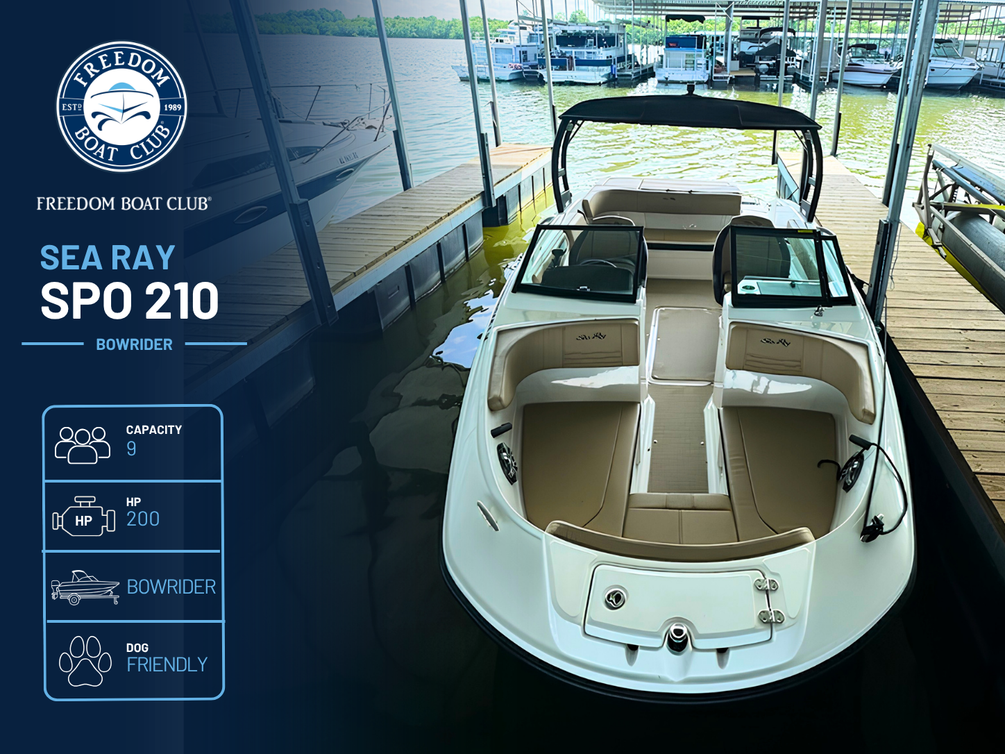 Maverick - Sea Ray 210 - Bowrider