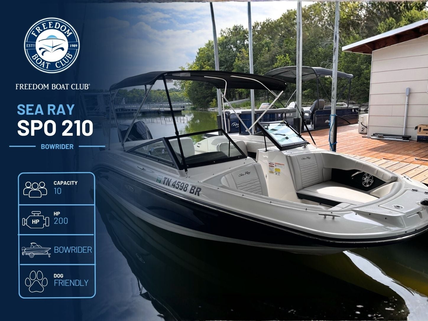 Summertime Blues - Sea Ray 210 - Bowrider