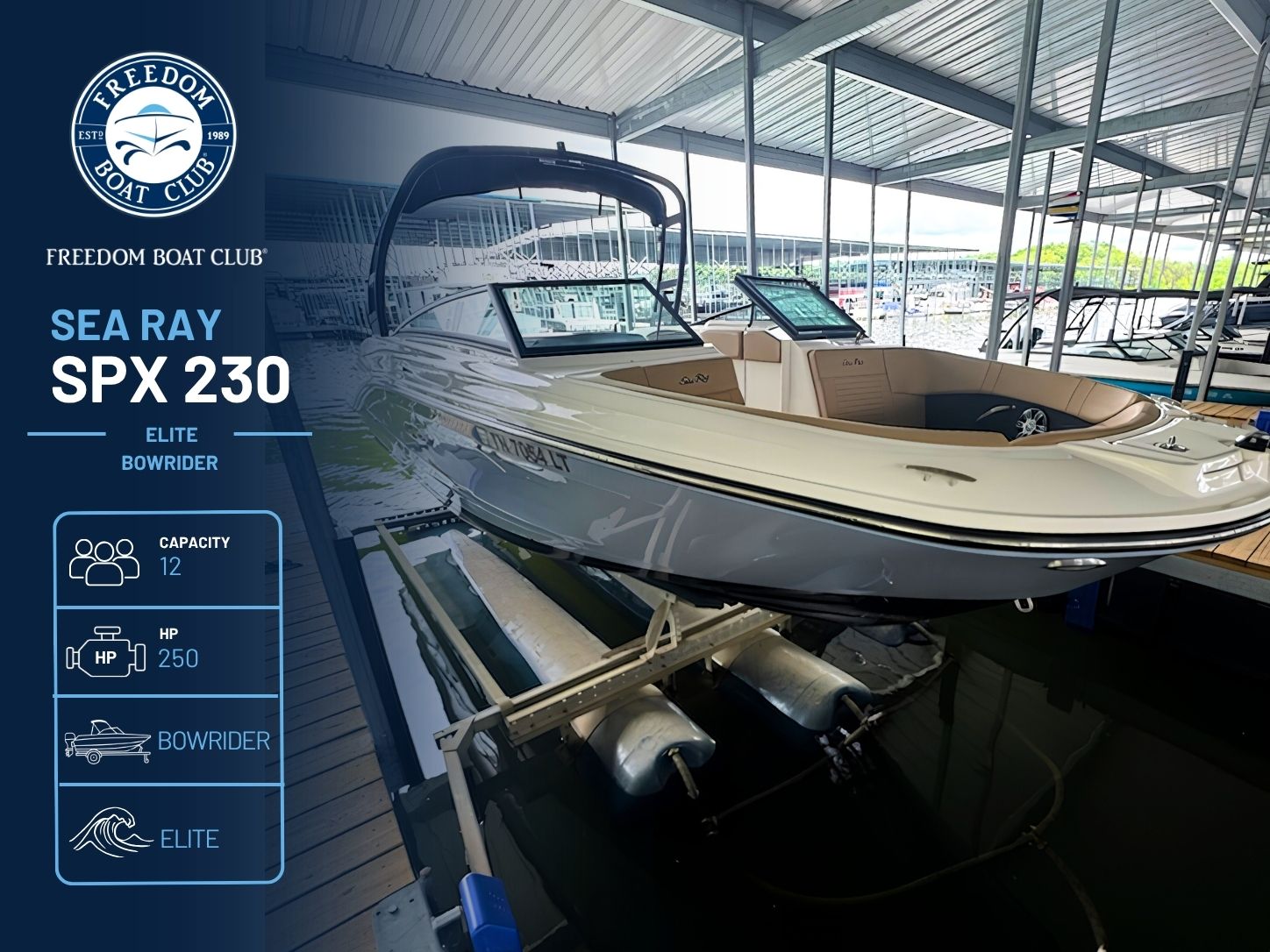 Ice - Sea Ray 230 - Bowrider - Elite