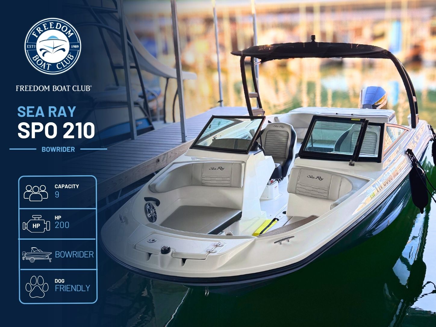 Steel - Sea Ray 210 - Bowrider