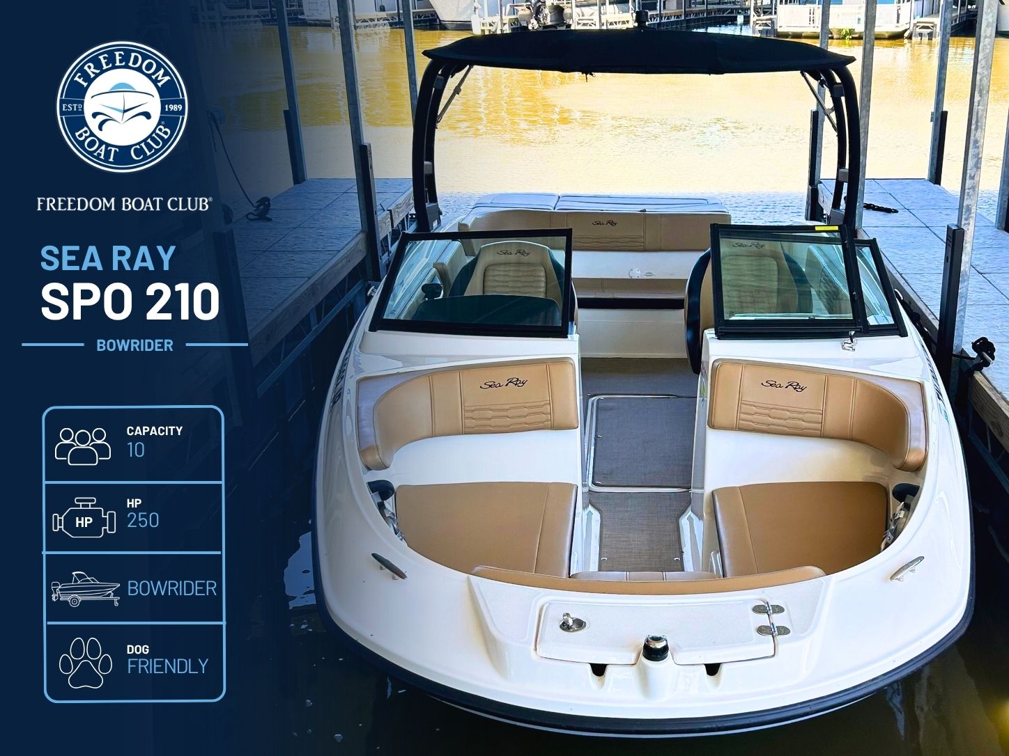 Ryno - Sea Ray 210 - Bowrider