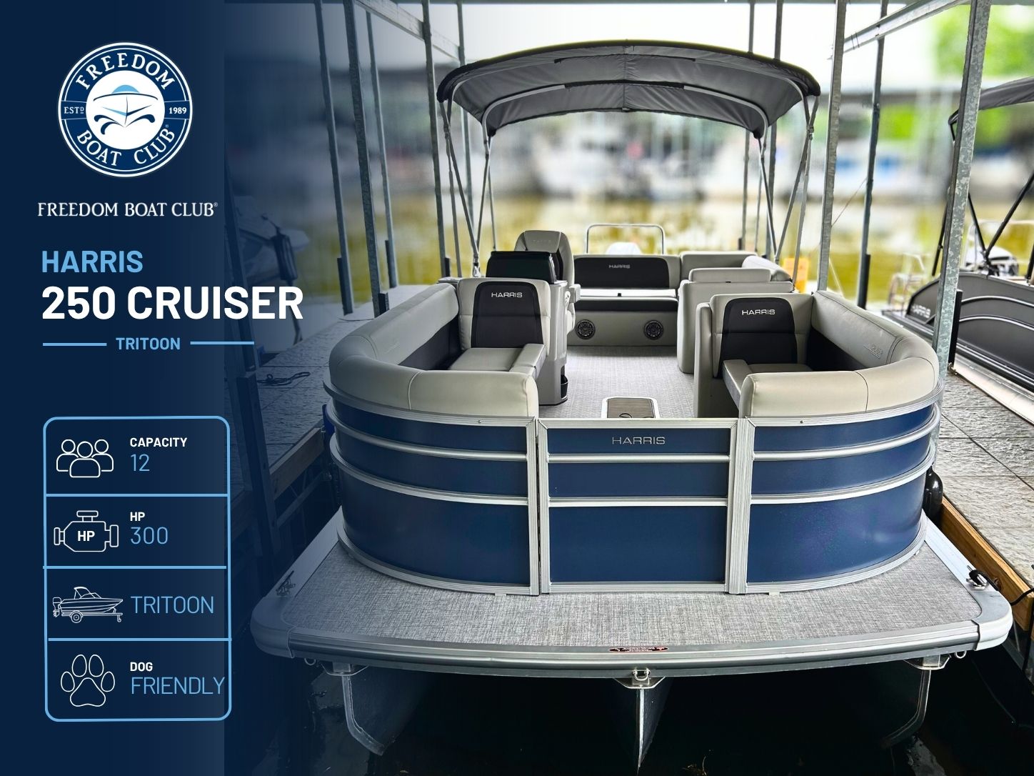 Desperado - Harris Cruiser - Tritoon (Elite)