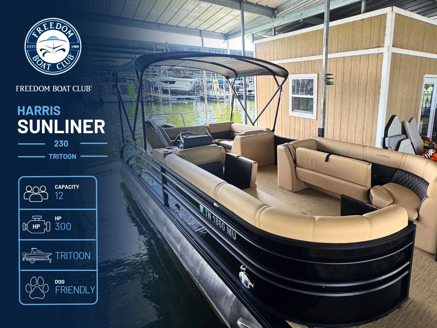Loretta - Harris Sunliner - Tritoon (Elite)