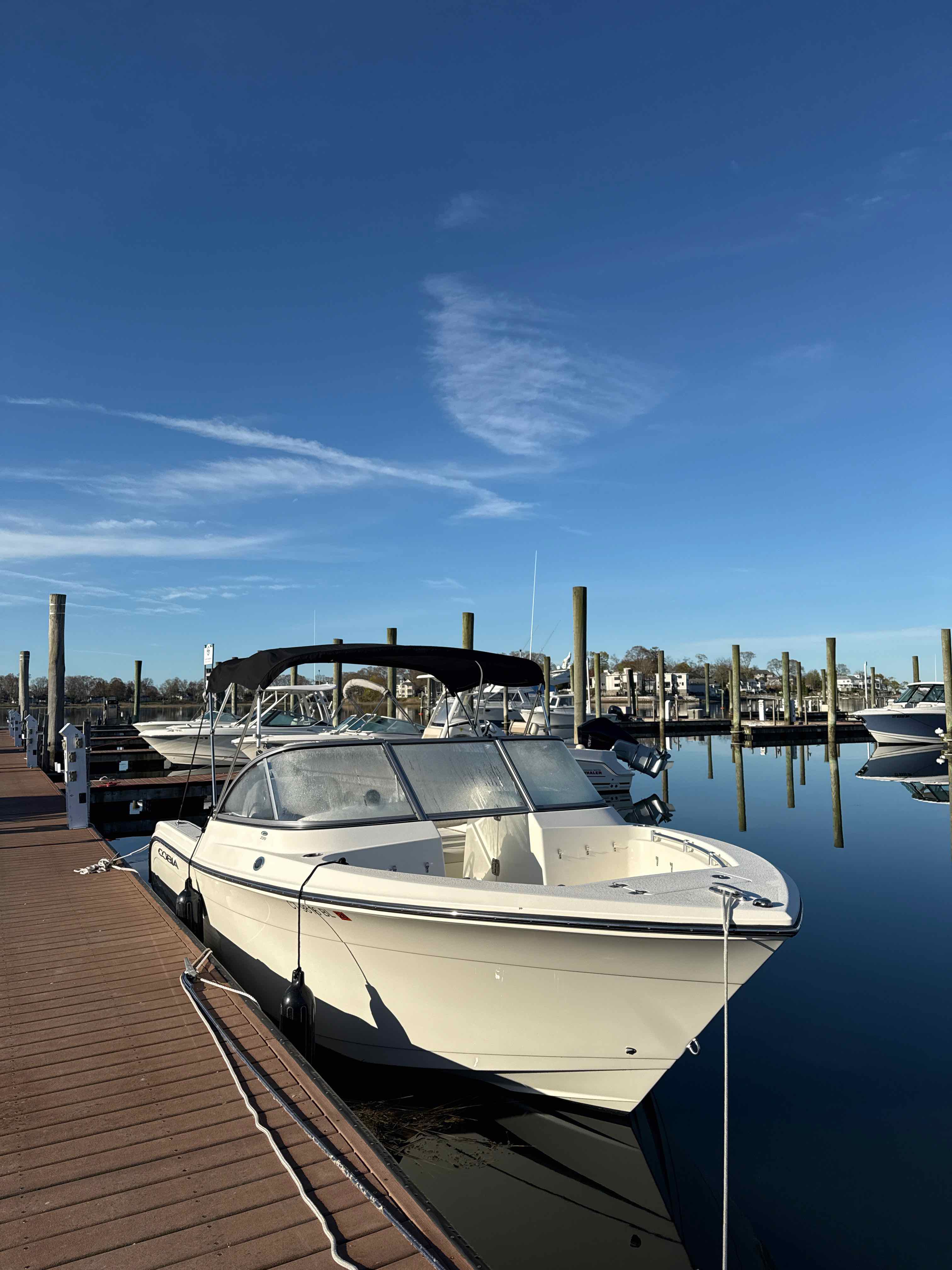 (CT) Surfer Girl (22' Dual Console - Cobia - 200 HP