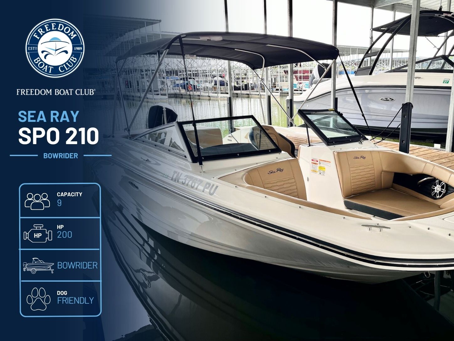 Blanco - Sea Ray - Bowrider