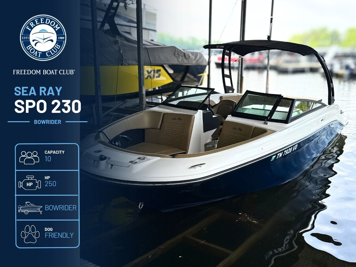 Rocket Man - Sea Ray 230 - Bowrider