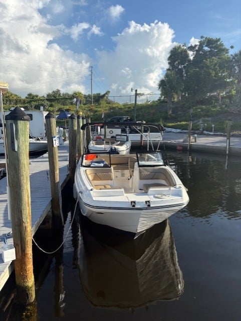 ARTIFISHAL (Bayliner 22' Deck Boat 200 HP - Cruising)
