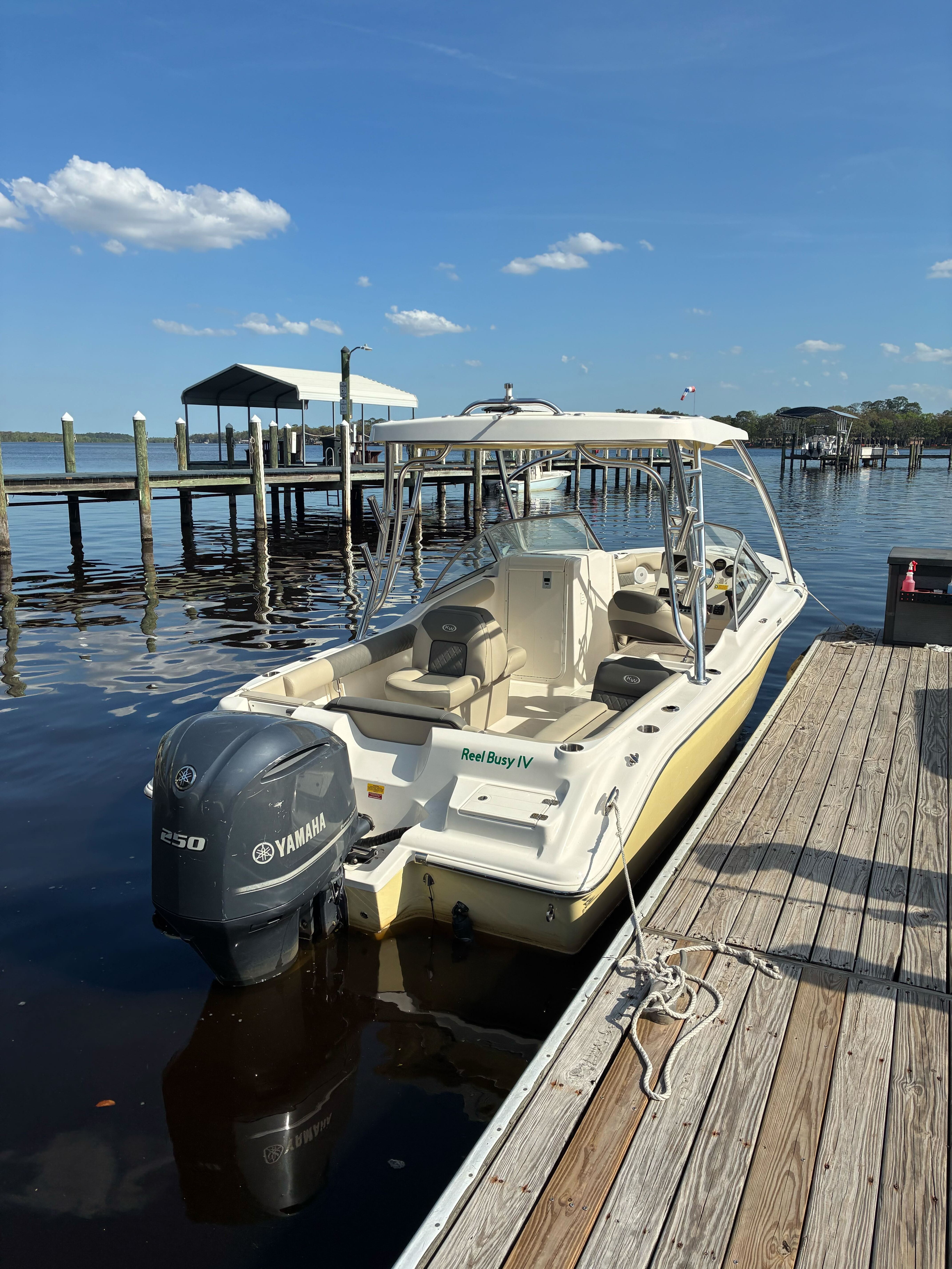 Reel Busy V- 239-Bowrider