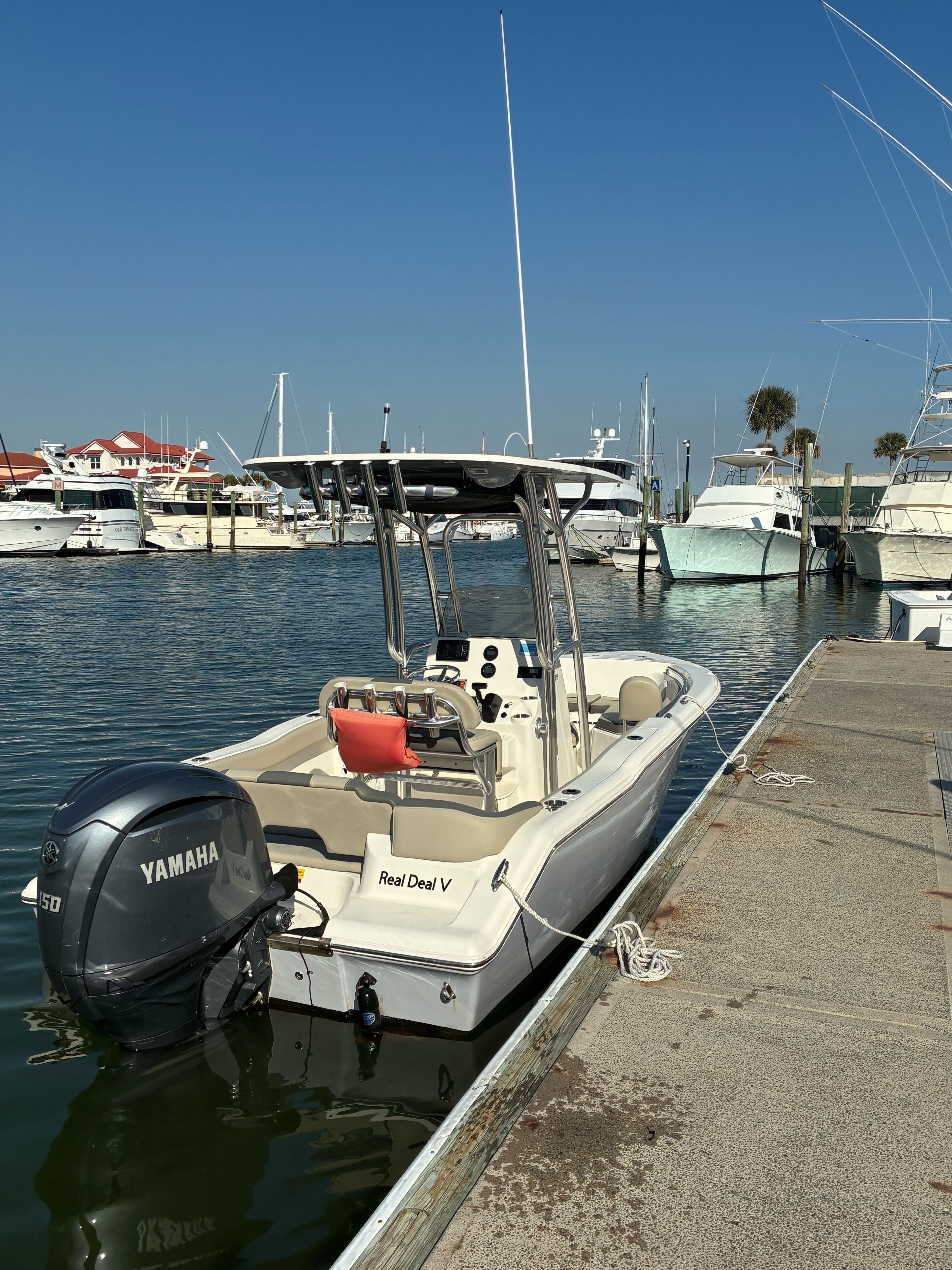 Reel Deal V- CC 203