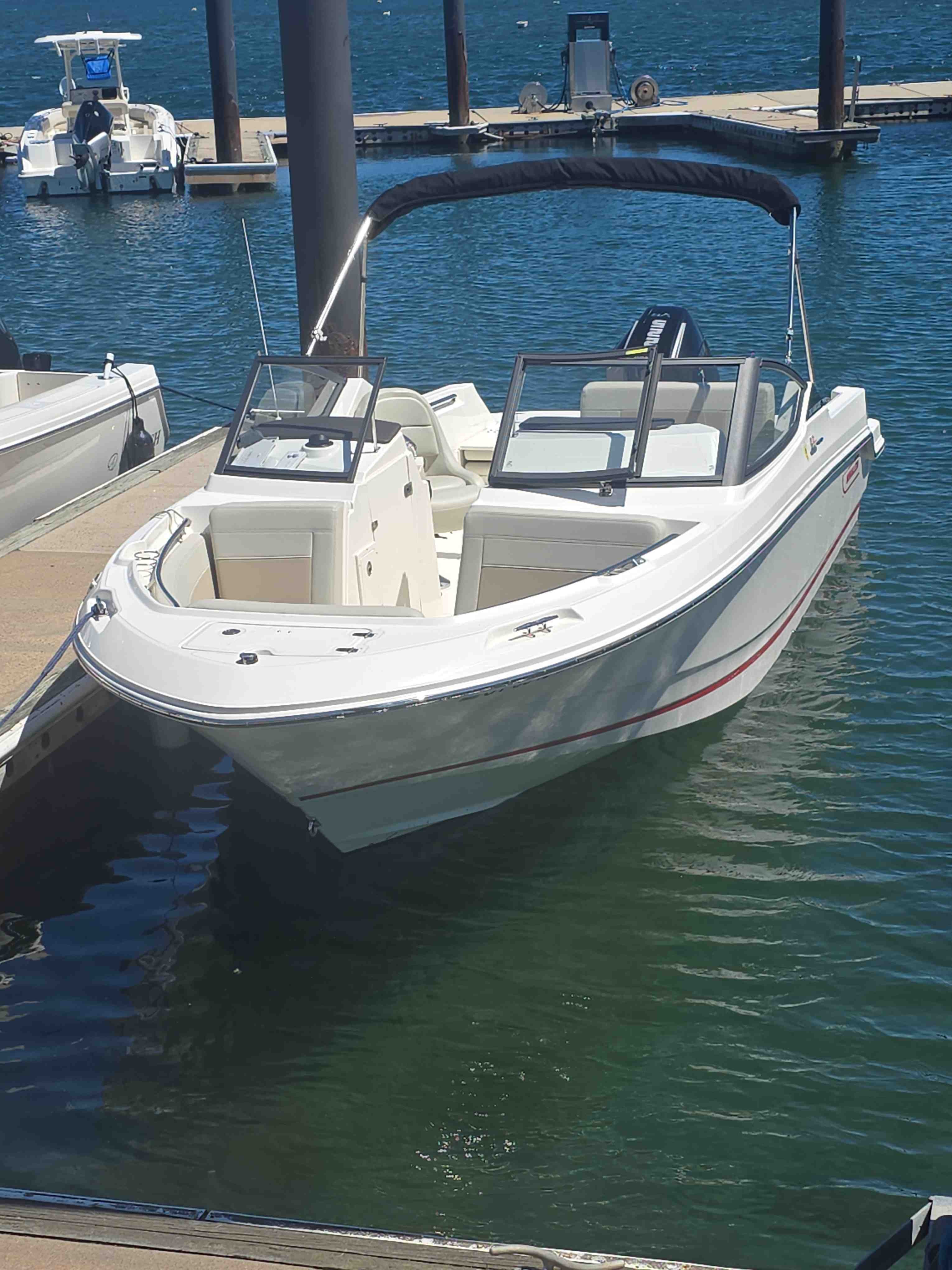 BLUE SKY (21' Boston Whaler 225HP Dual Console-Cruising/Fishing)