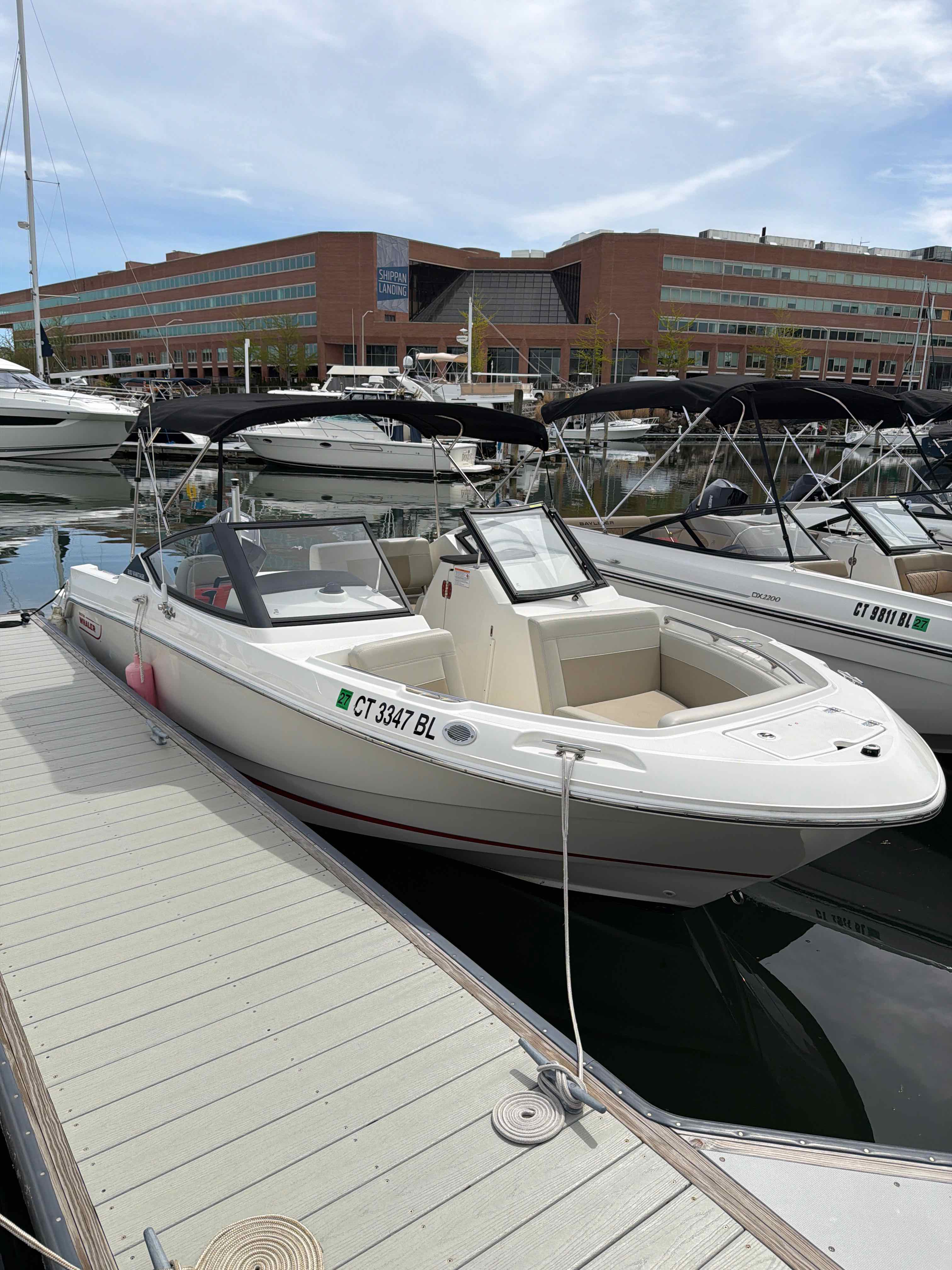 GOOD VIBRATIONS (21' Boston Whaler 225HP Dual Console-Cruising/Fishing)