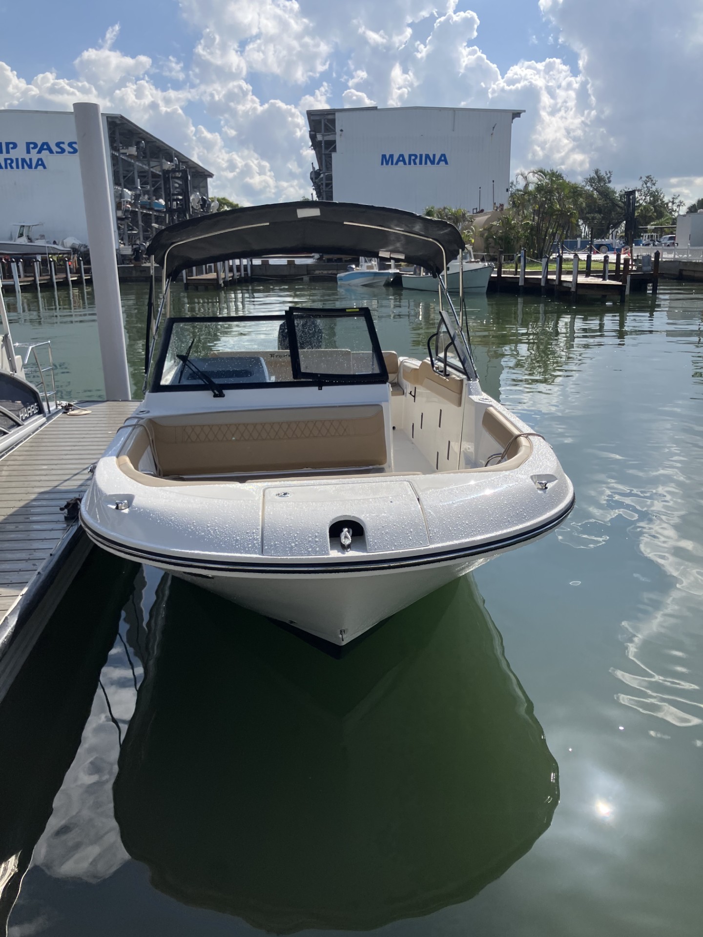 MAKING WAVES (Sea Ray SPX 210)