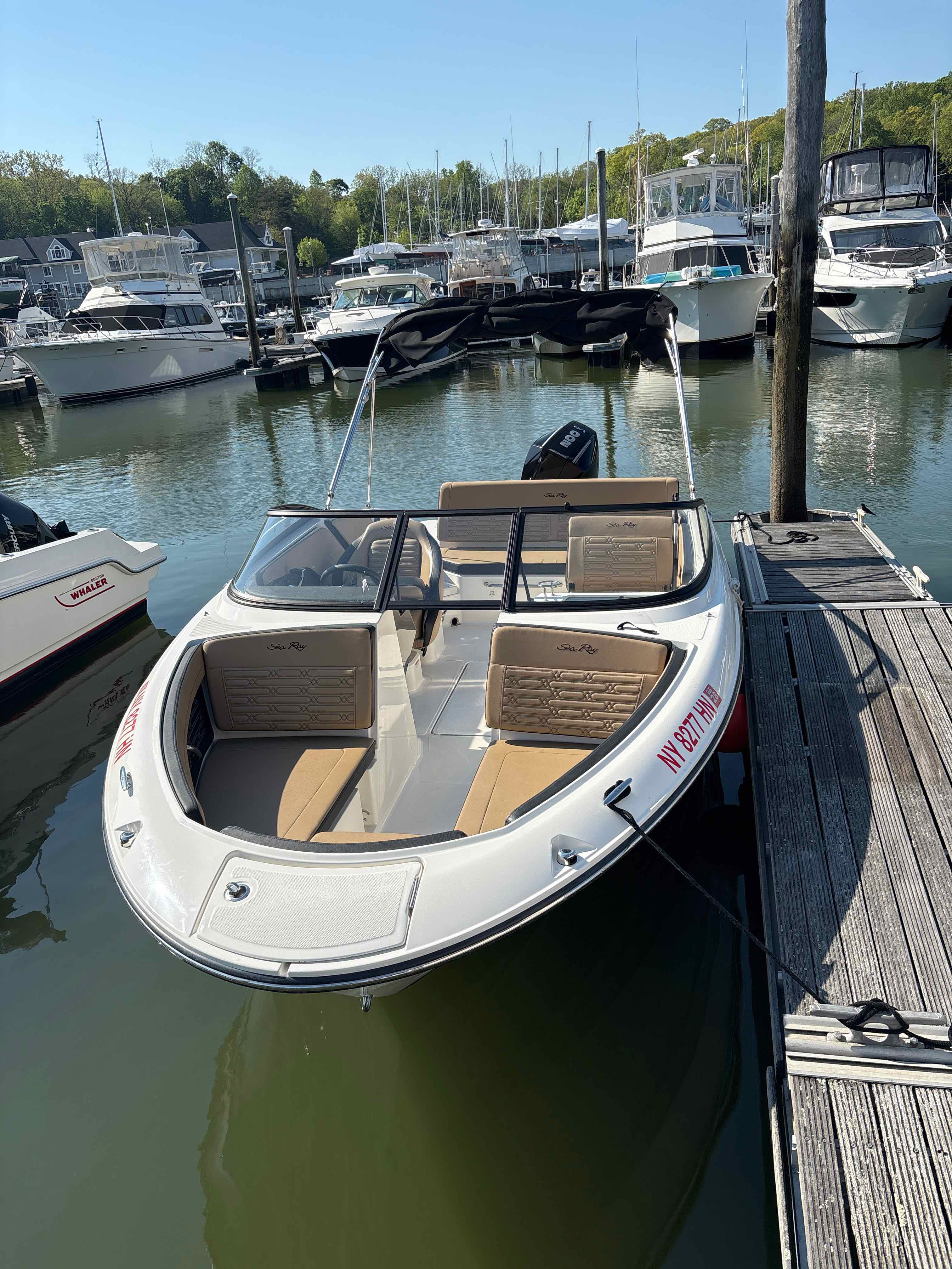 IN TOO DEEP (Sea Ray SPX 210)