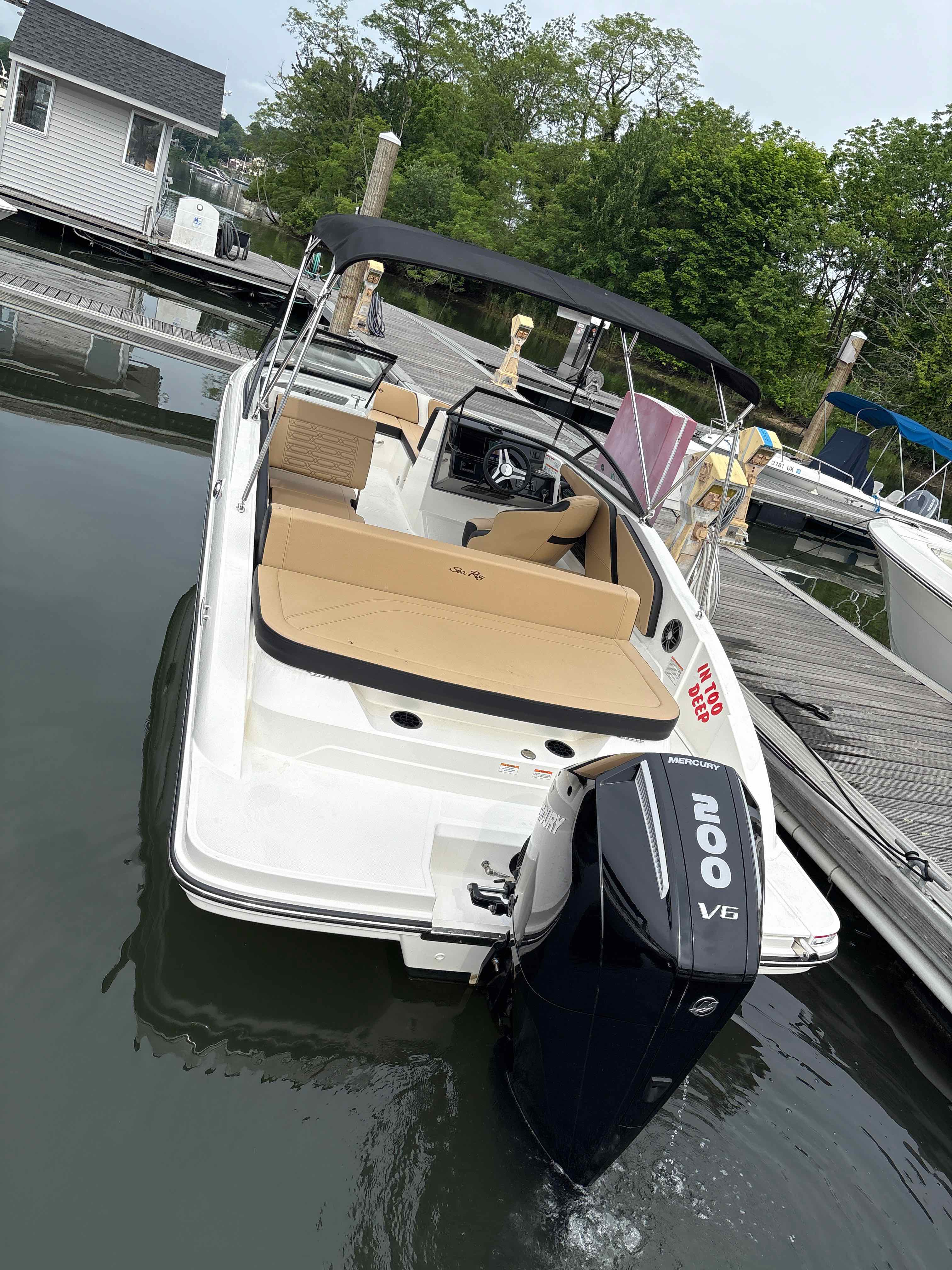 IN TOO DEEP (Sea Ray SPX 210)