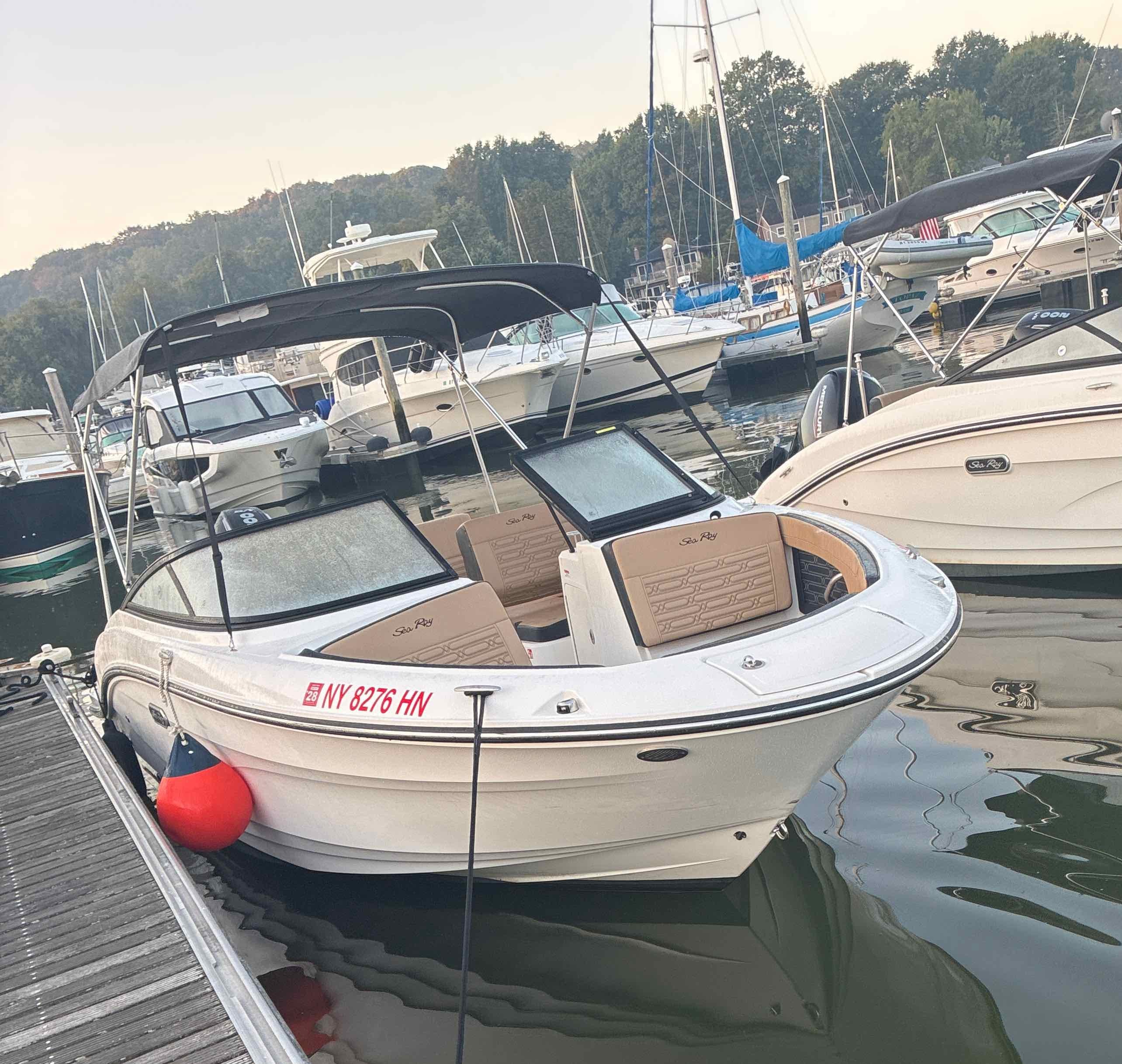 WRONG DECISION (Sea Ray SPX 210)