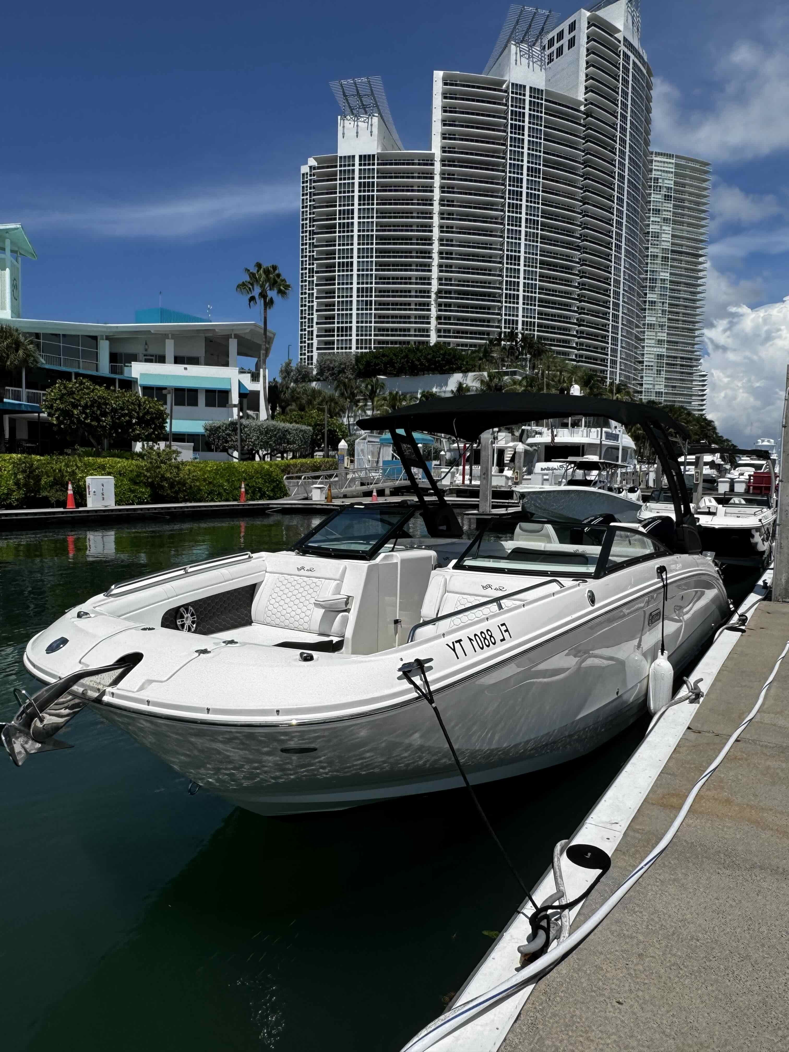 ODYSSEUS (ELITE SEA RAY SDX290 TWIN 250 MERC)