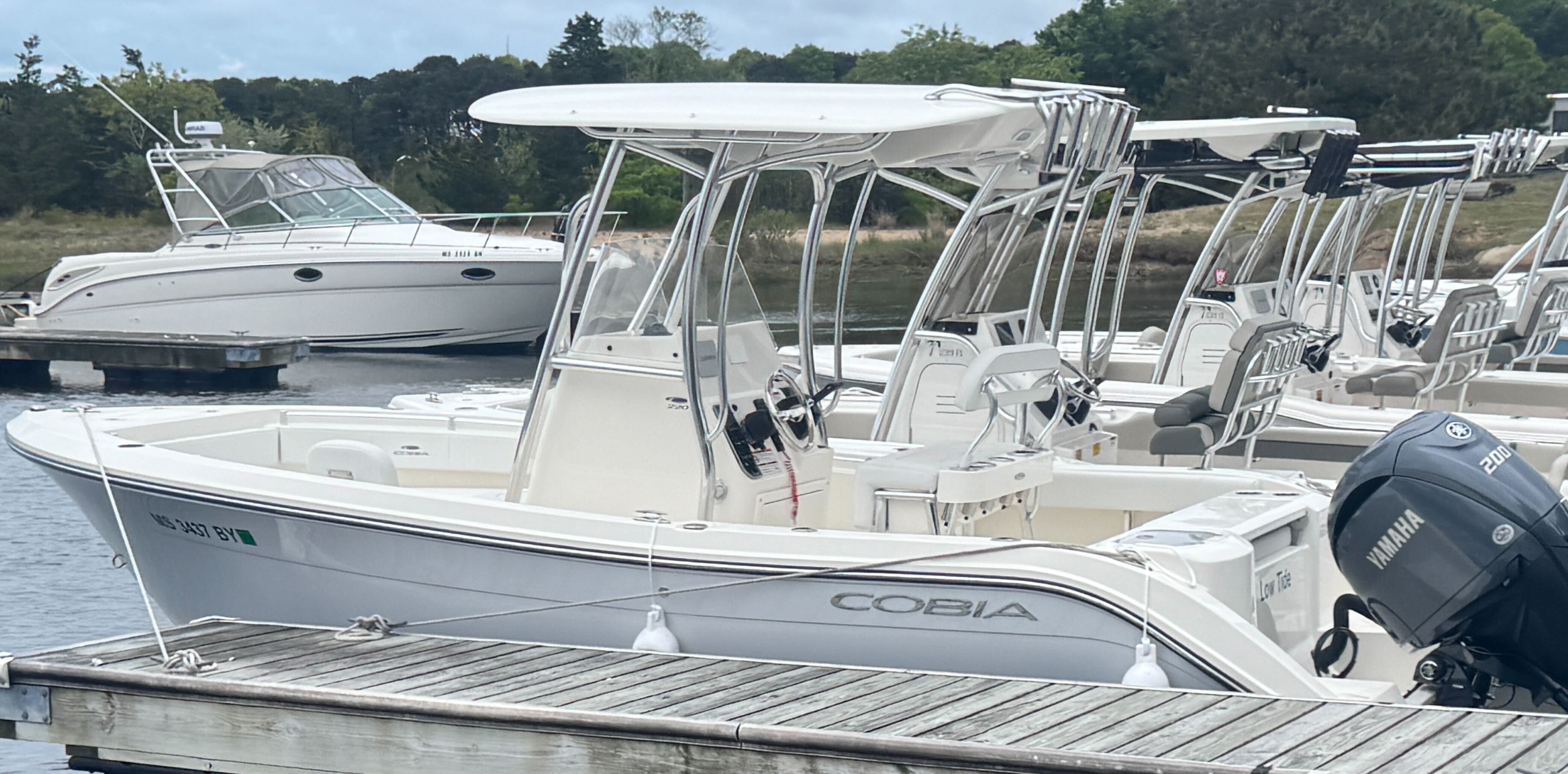 Low Tide - 21' CC