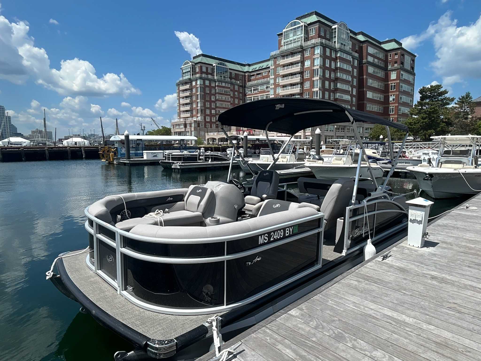 Looney Toon - 22' Pontoon