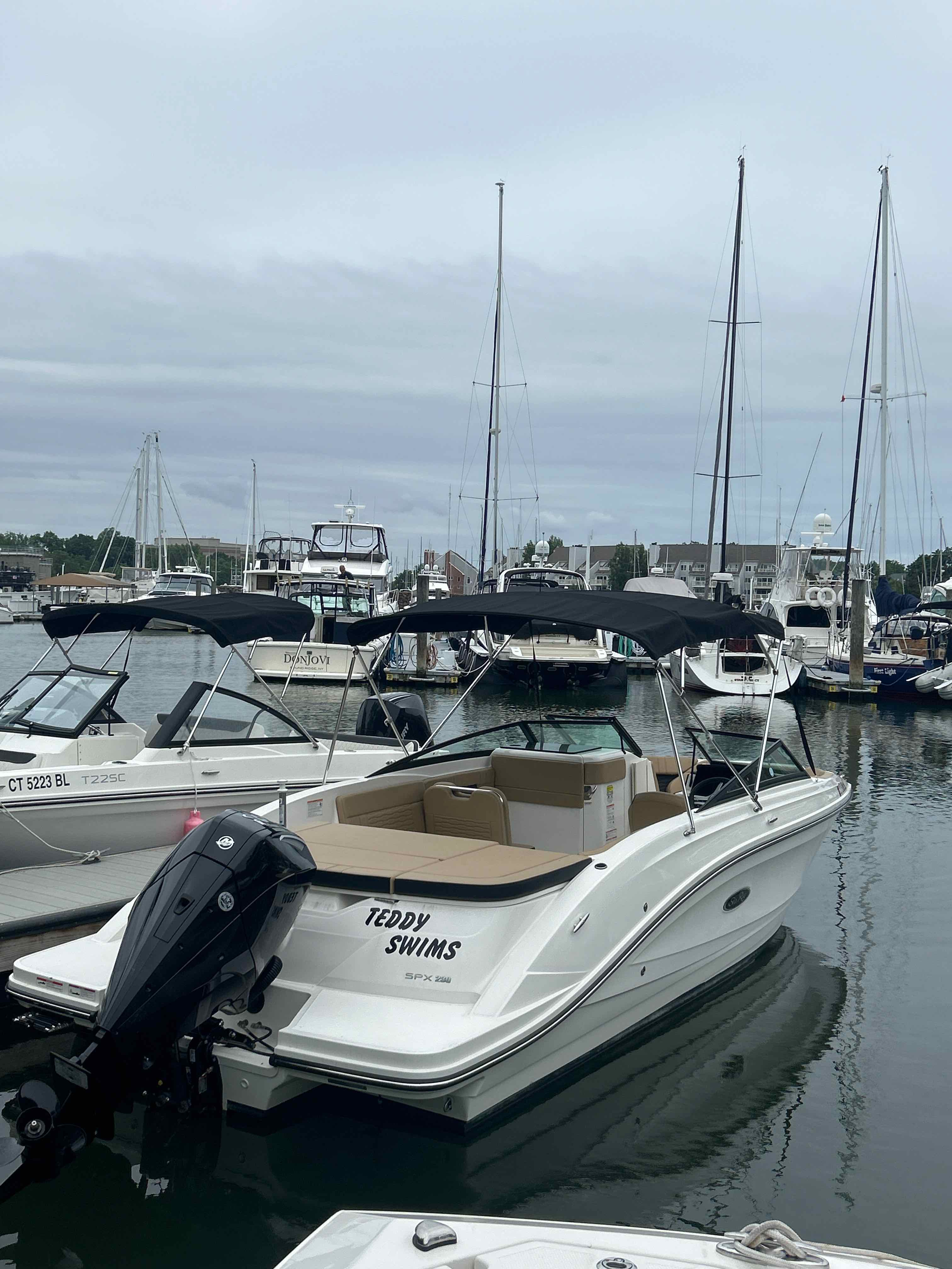 TEDDY SWIMS (2025 SEA RAY SPX230 200 MERC)
