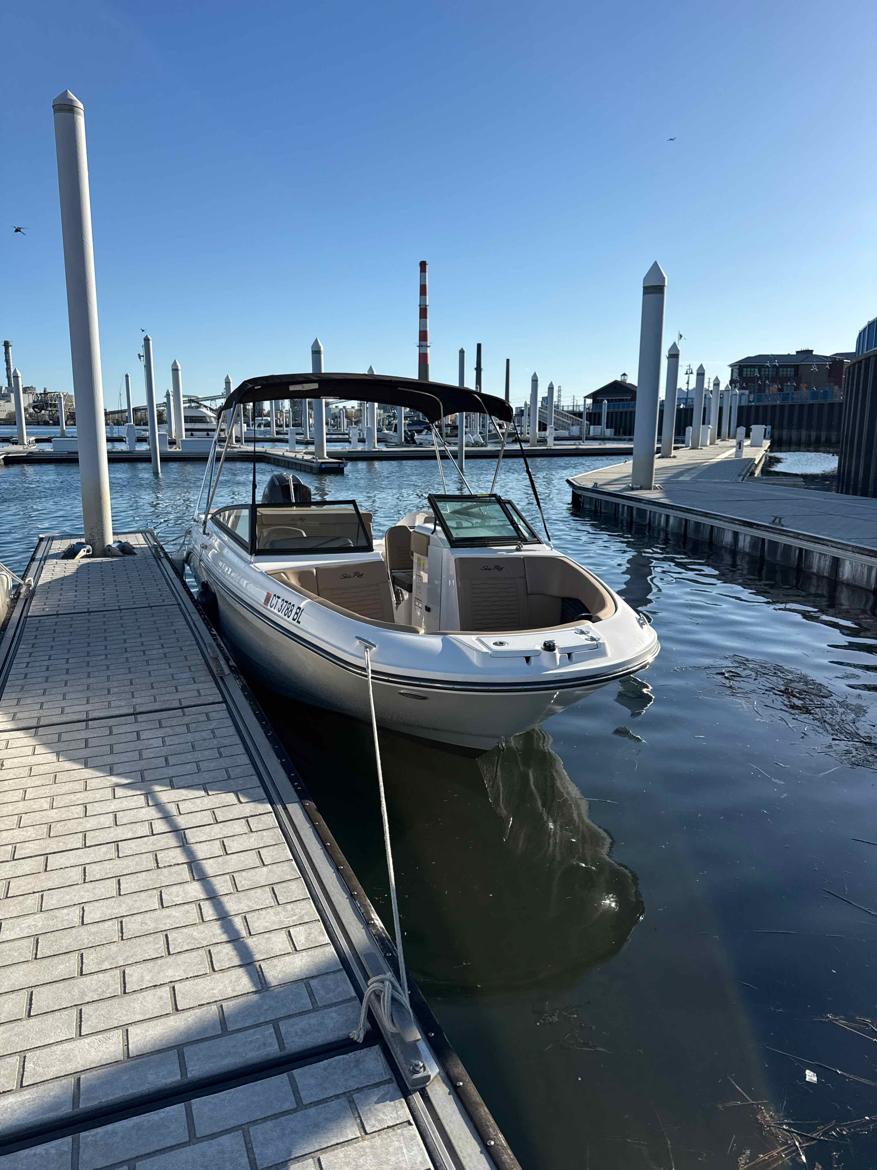 TEDDY SWIMS (2025 SEA RAY SPX230 200 MERC)
