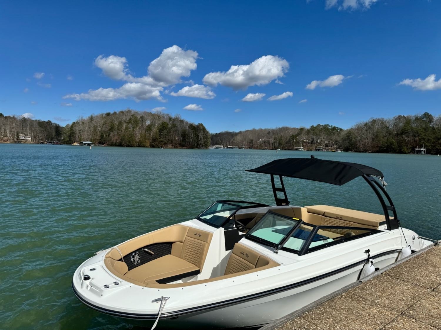 FOXY (Sea Ray 230)