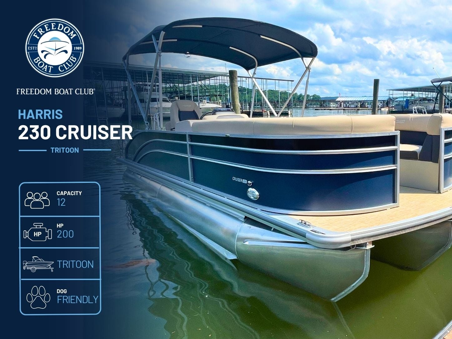 Sting - Harris Cruiser - Tritoon