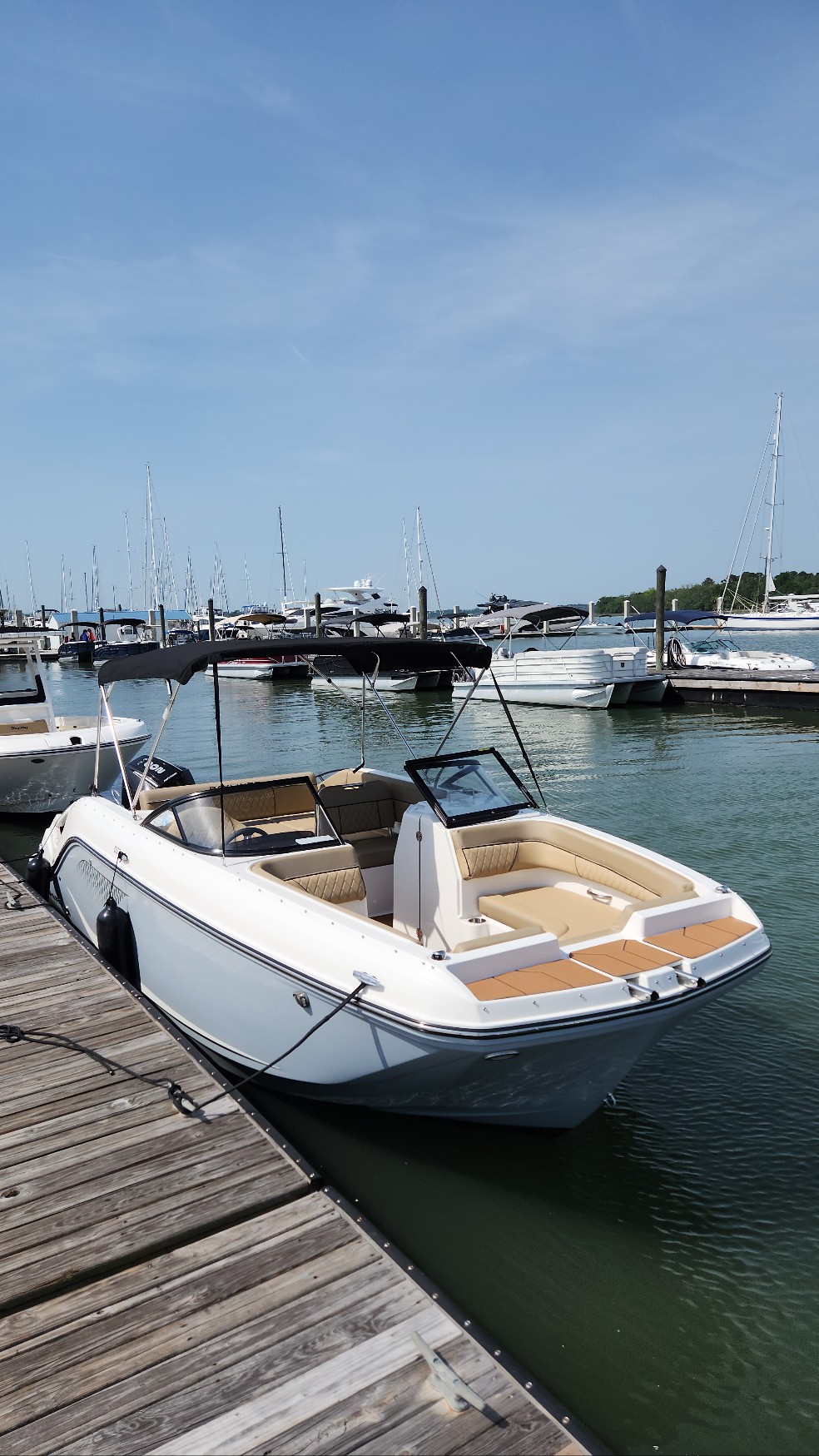 Island Freedom 17 (Bayliner 22' Deck Boat D22)