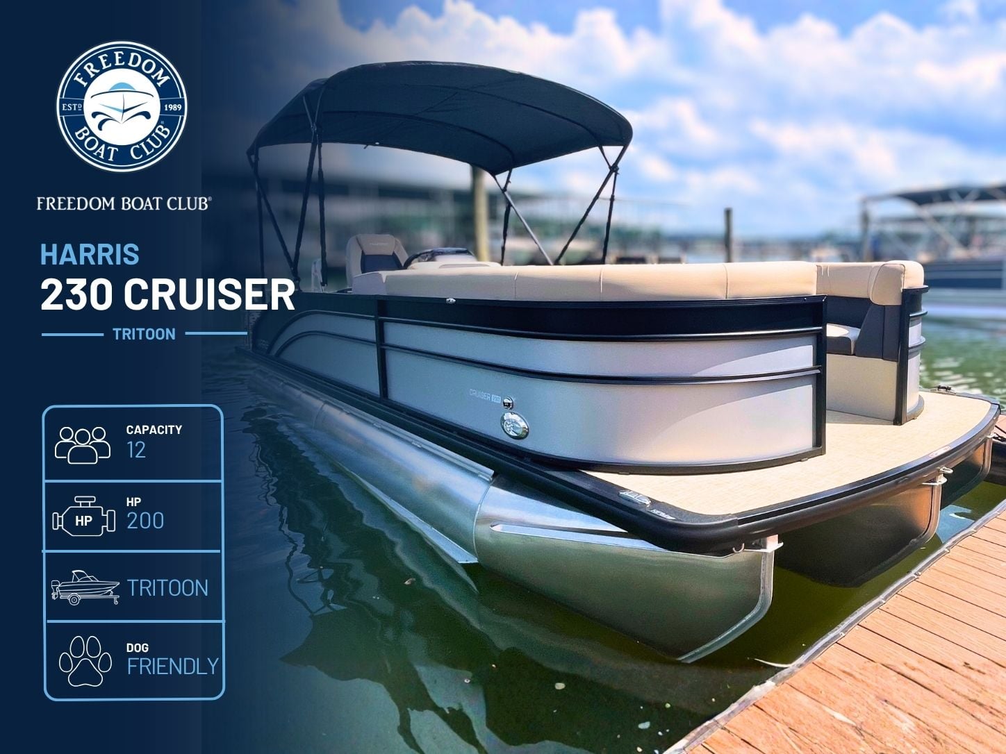 Hibiscus  - Harris Cruiser - Tritoon