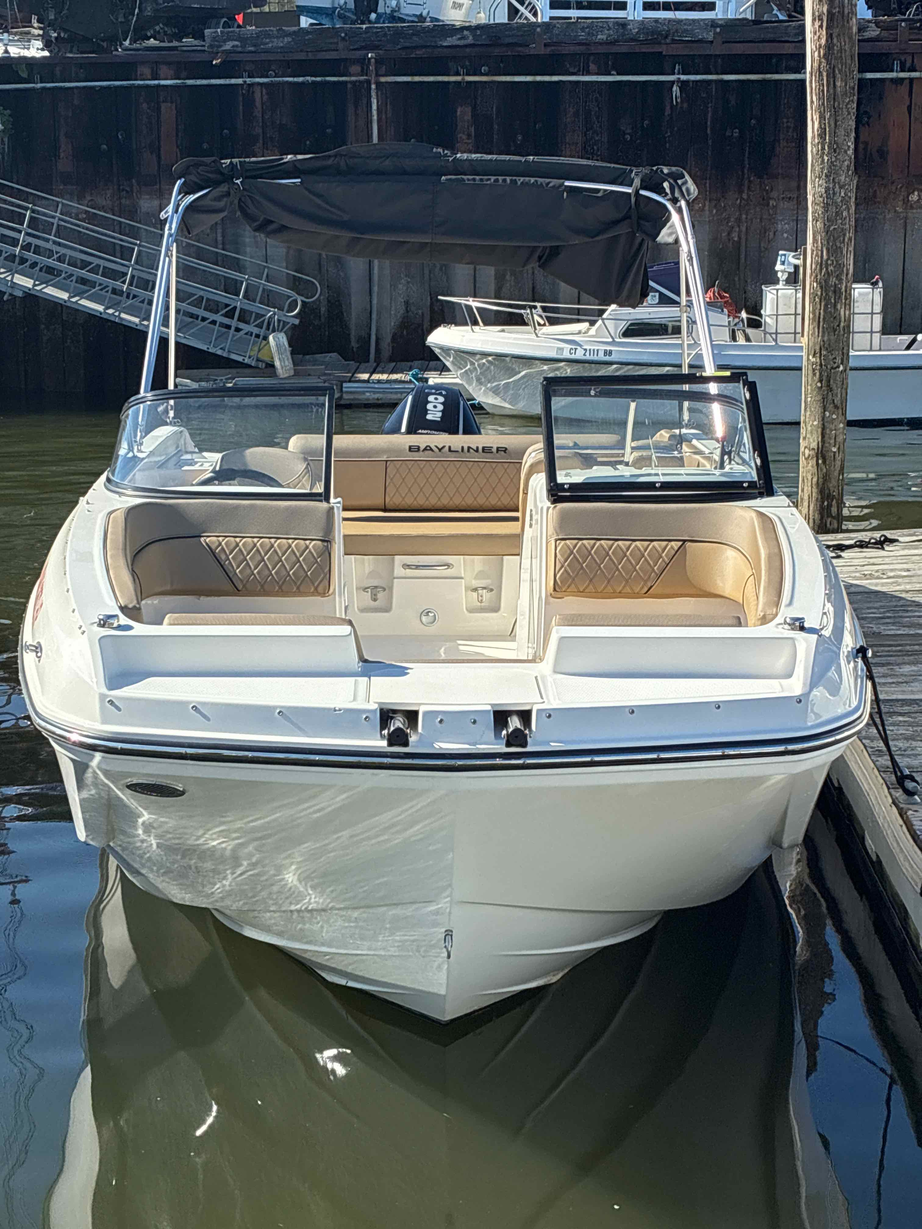 MAJORITY RULES (Bayliner 22' Deck Boat 200 HP - Cruising)