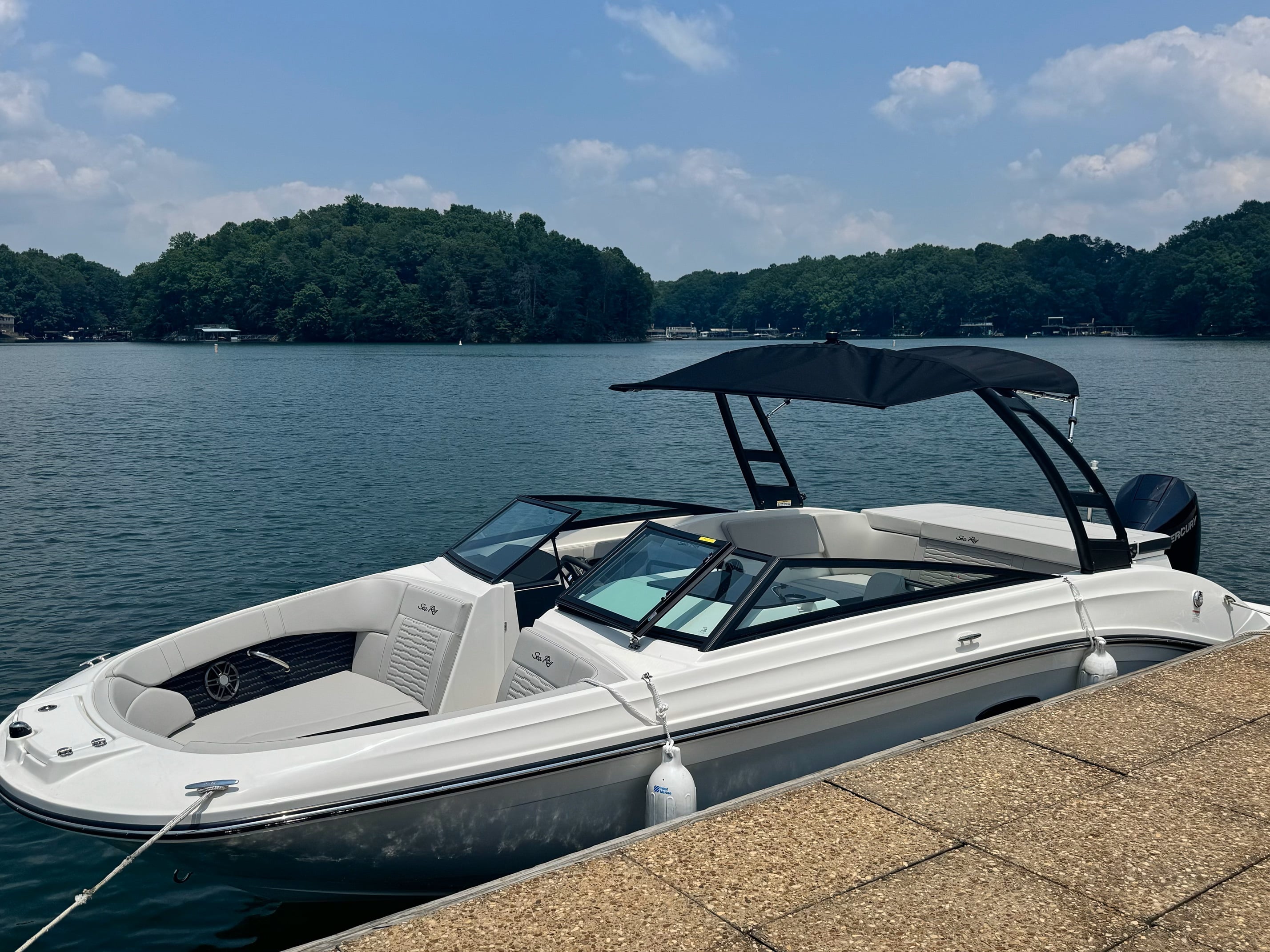 SMOOTH OPERATOR (23' Sea Ray Bowrider 200 HP - cruising)