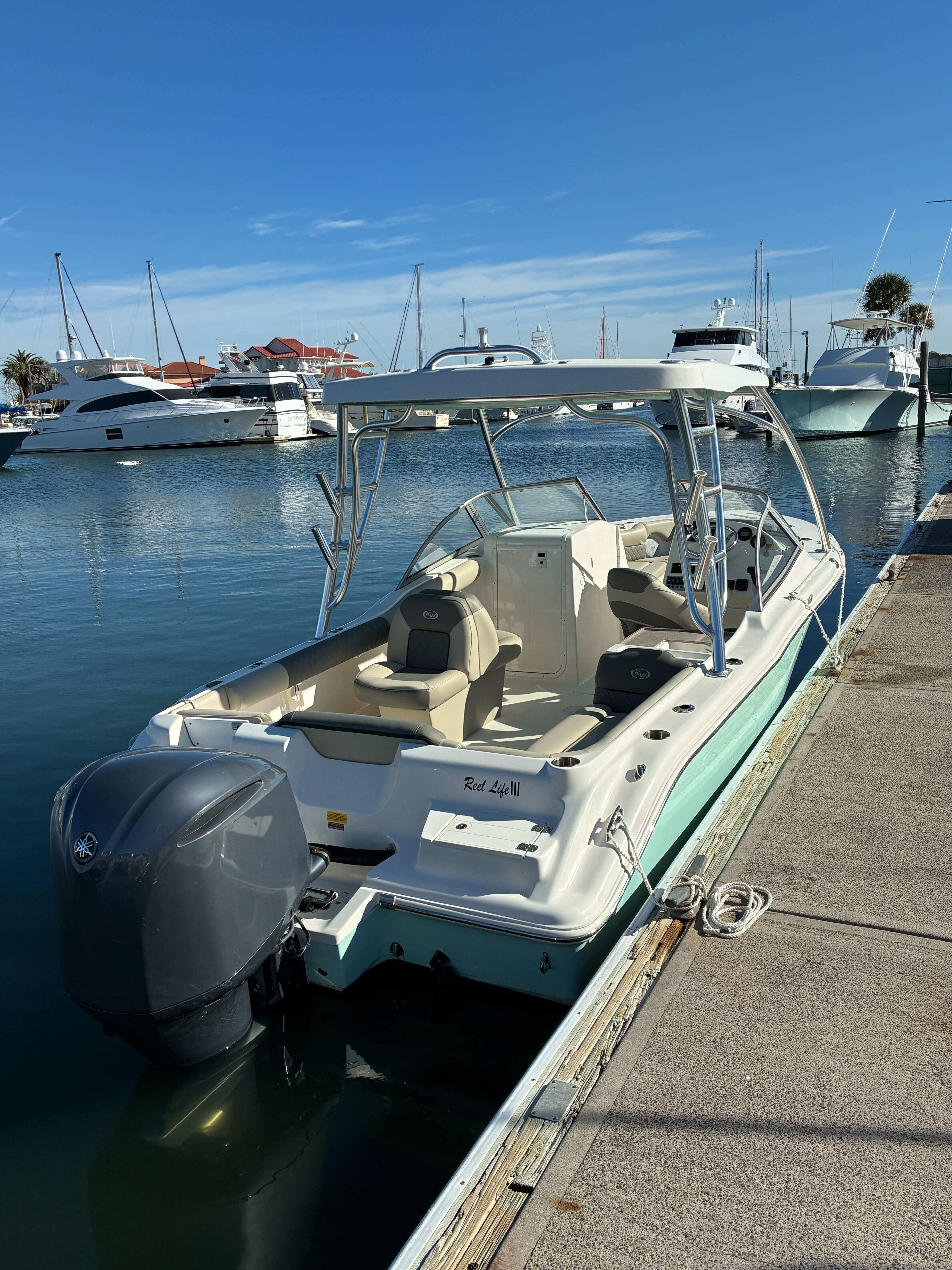 Reel Life III - 239 Bowrider