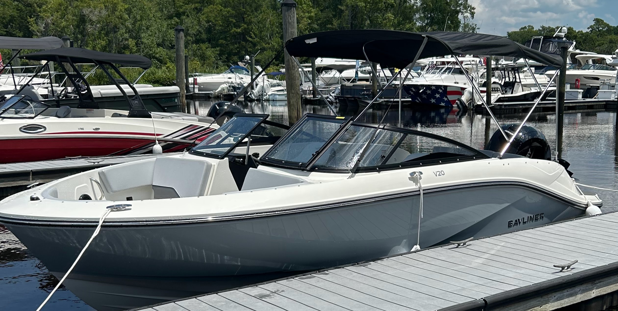 WHY KNOT - Bayliner V20 - NO FISHING