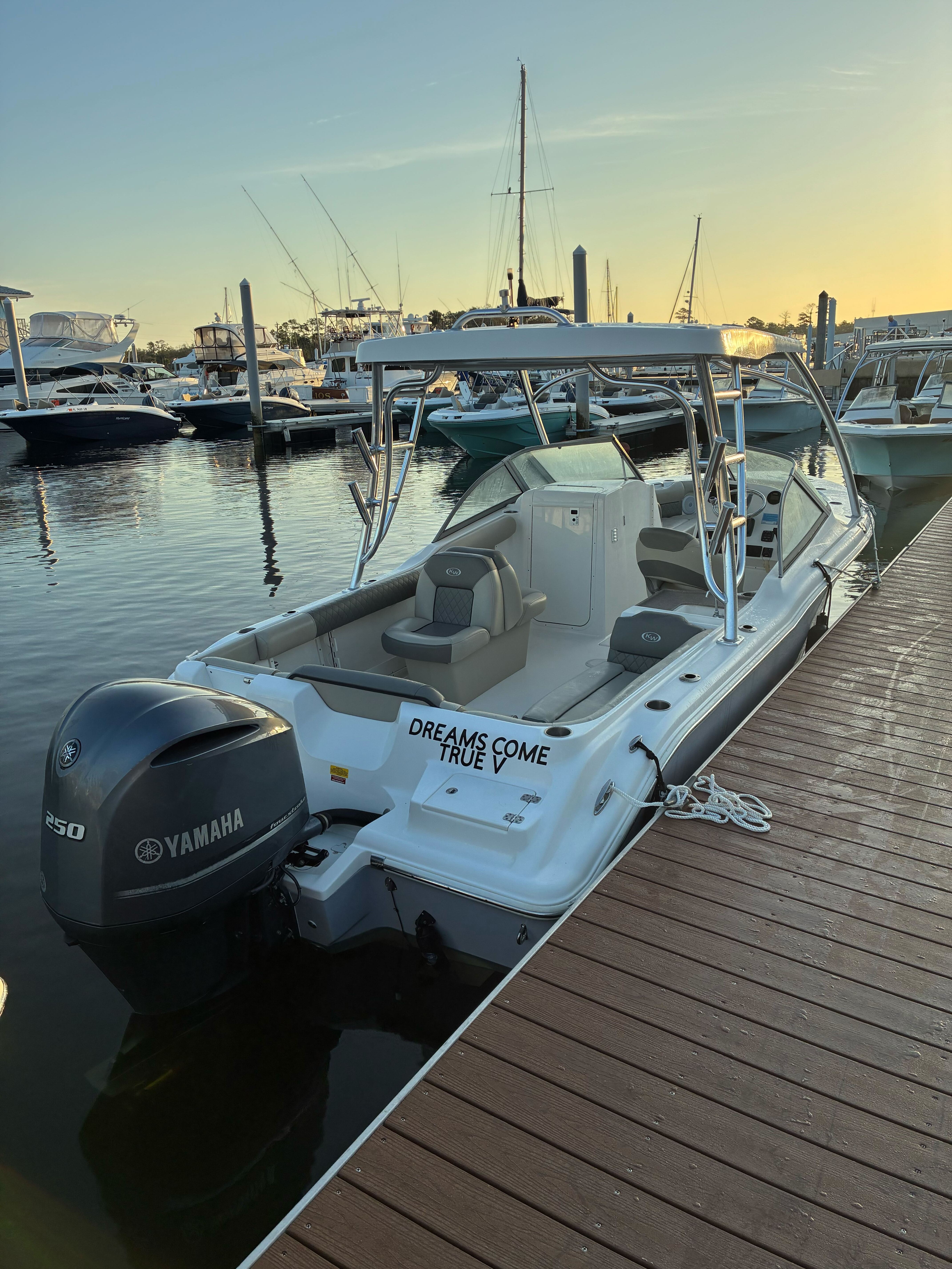 Dreams Come True V- 239 Bowrider