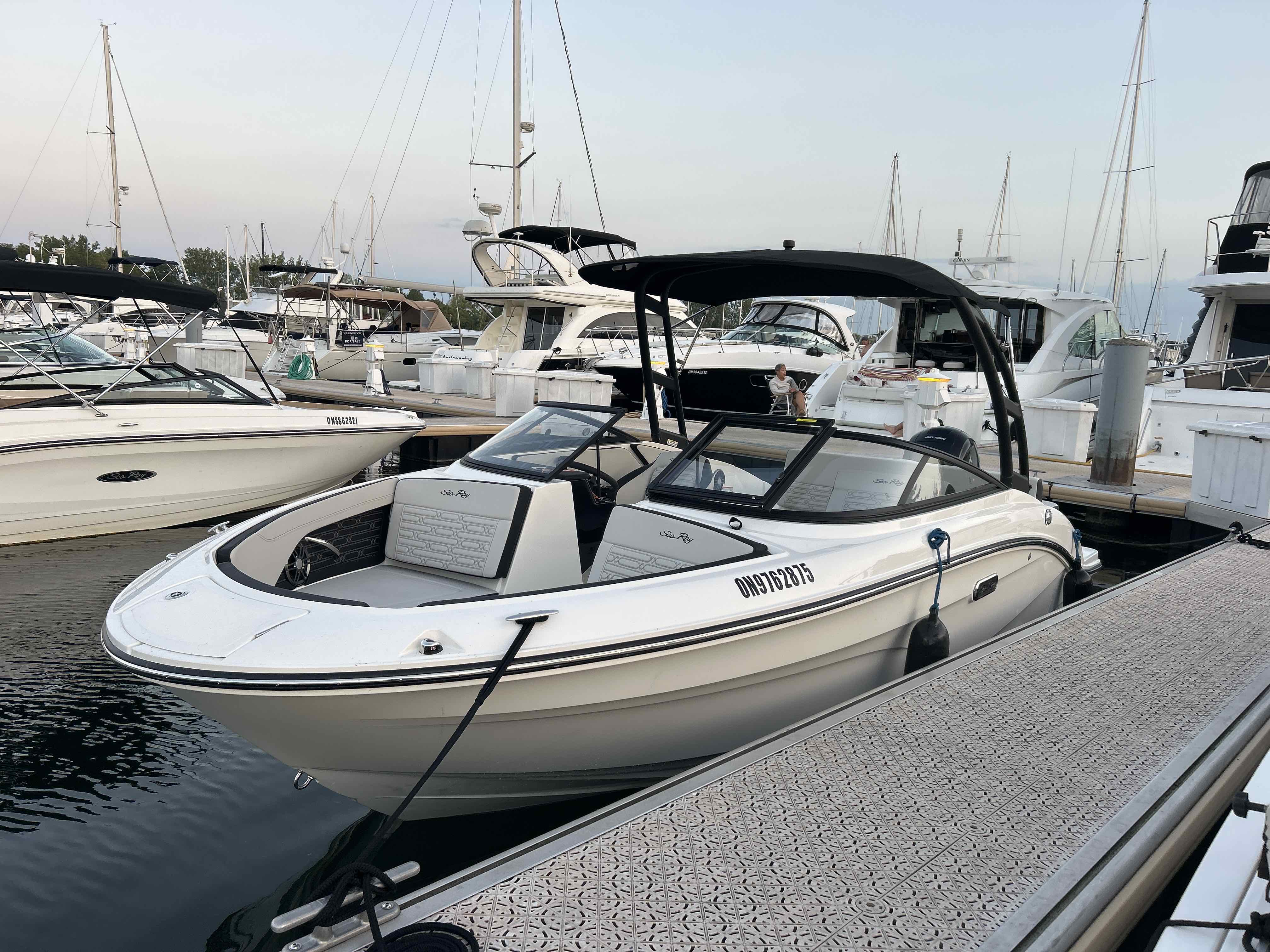 Supernova (Sea Ray SPX 21' 150 HP)
