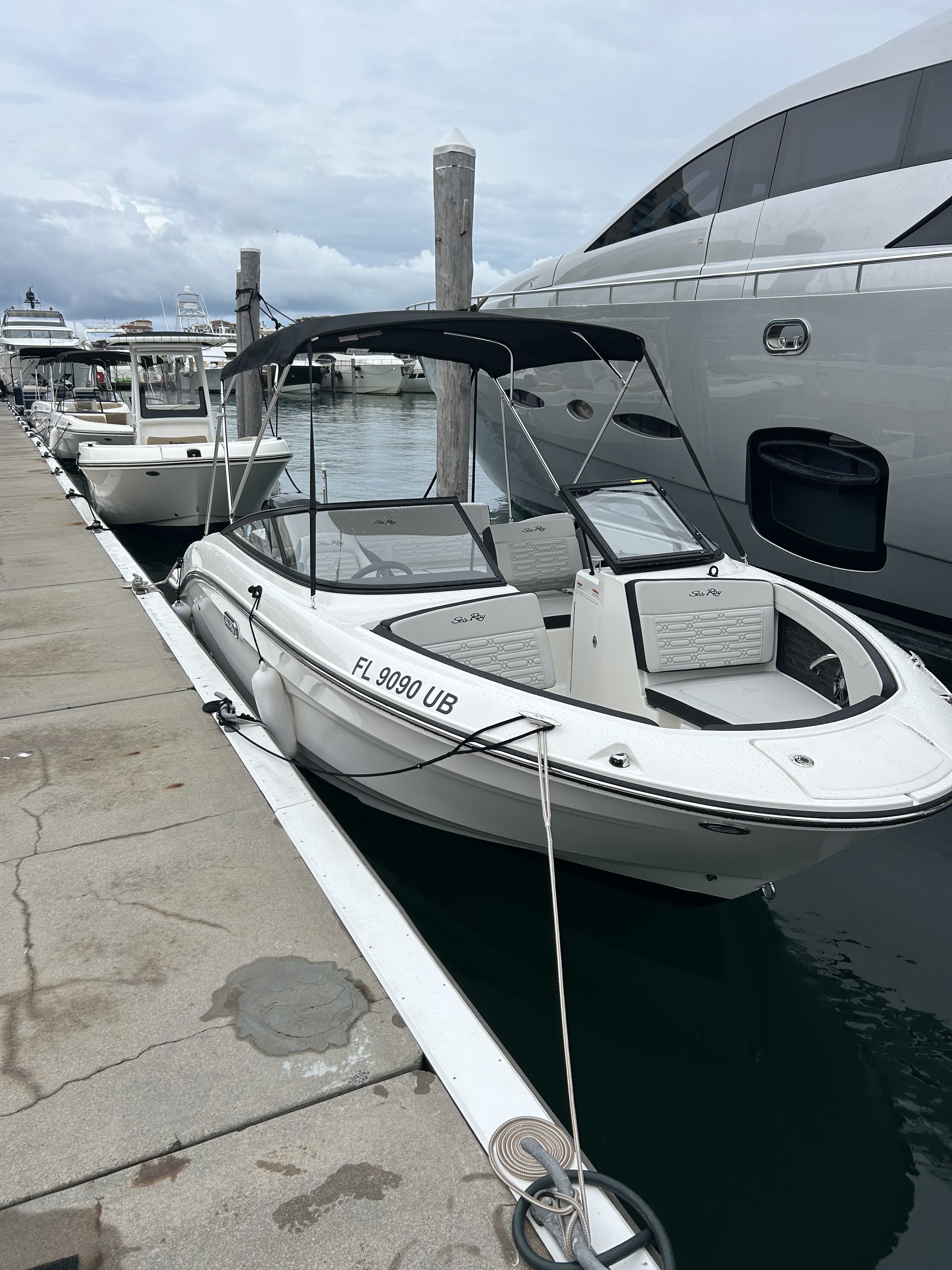 STING OPERATION (21' Sea Ray 150hp Bowrider-Cruising)