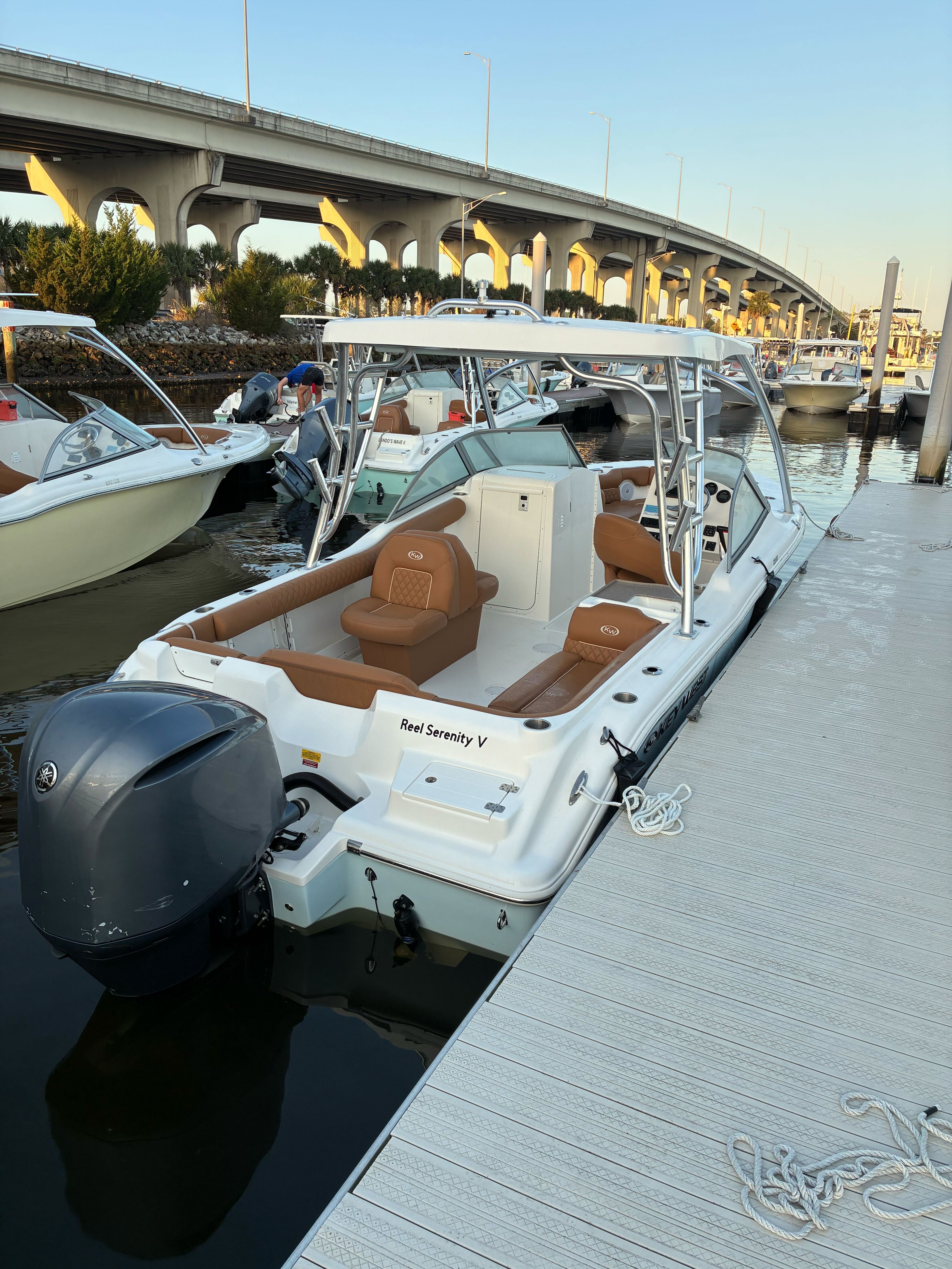 Reel Serenity V- 239 Bowrider