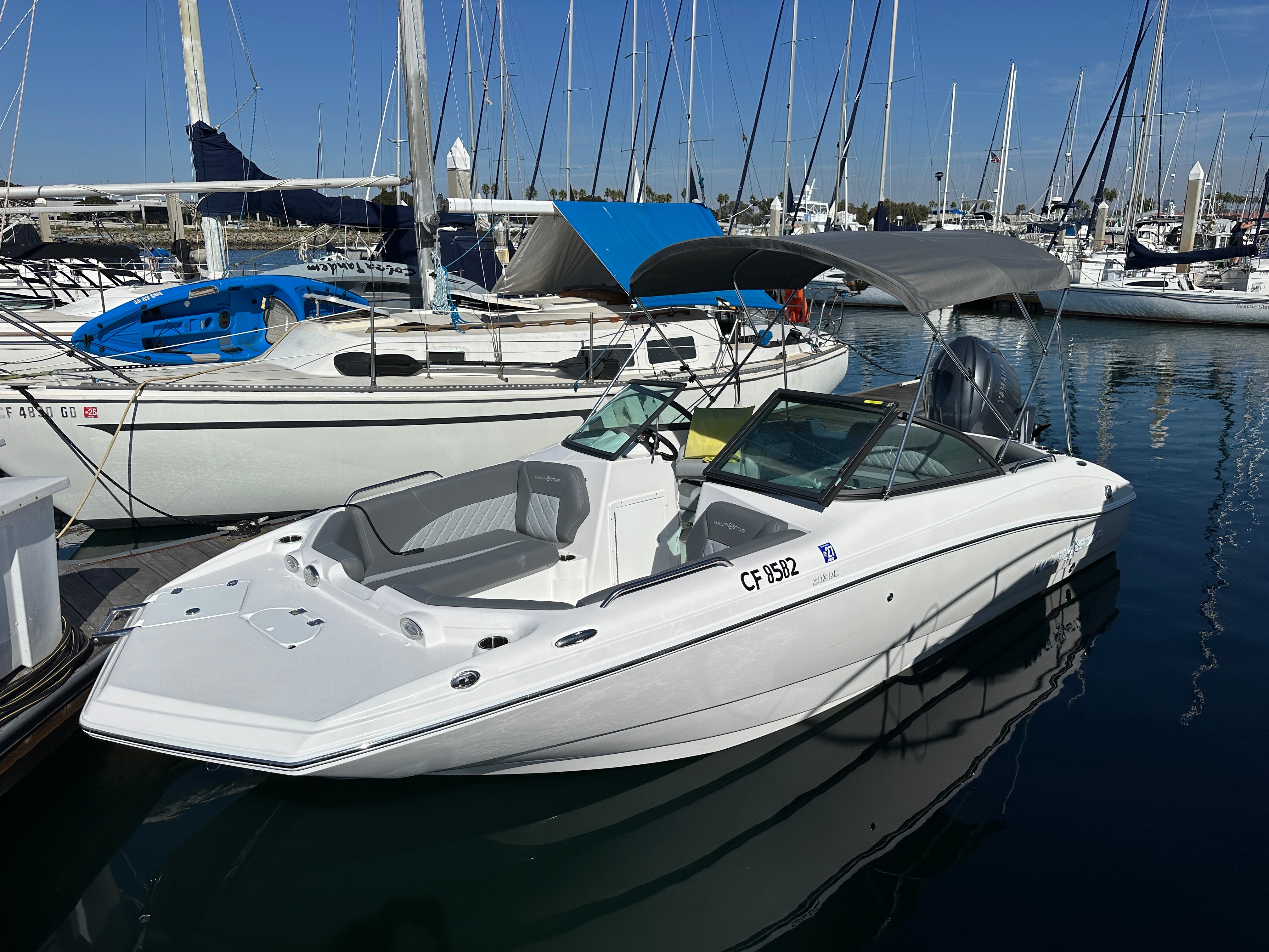 Pier Luck (Nautic Star 20' 203 DC)