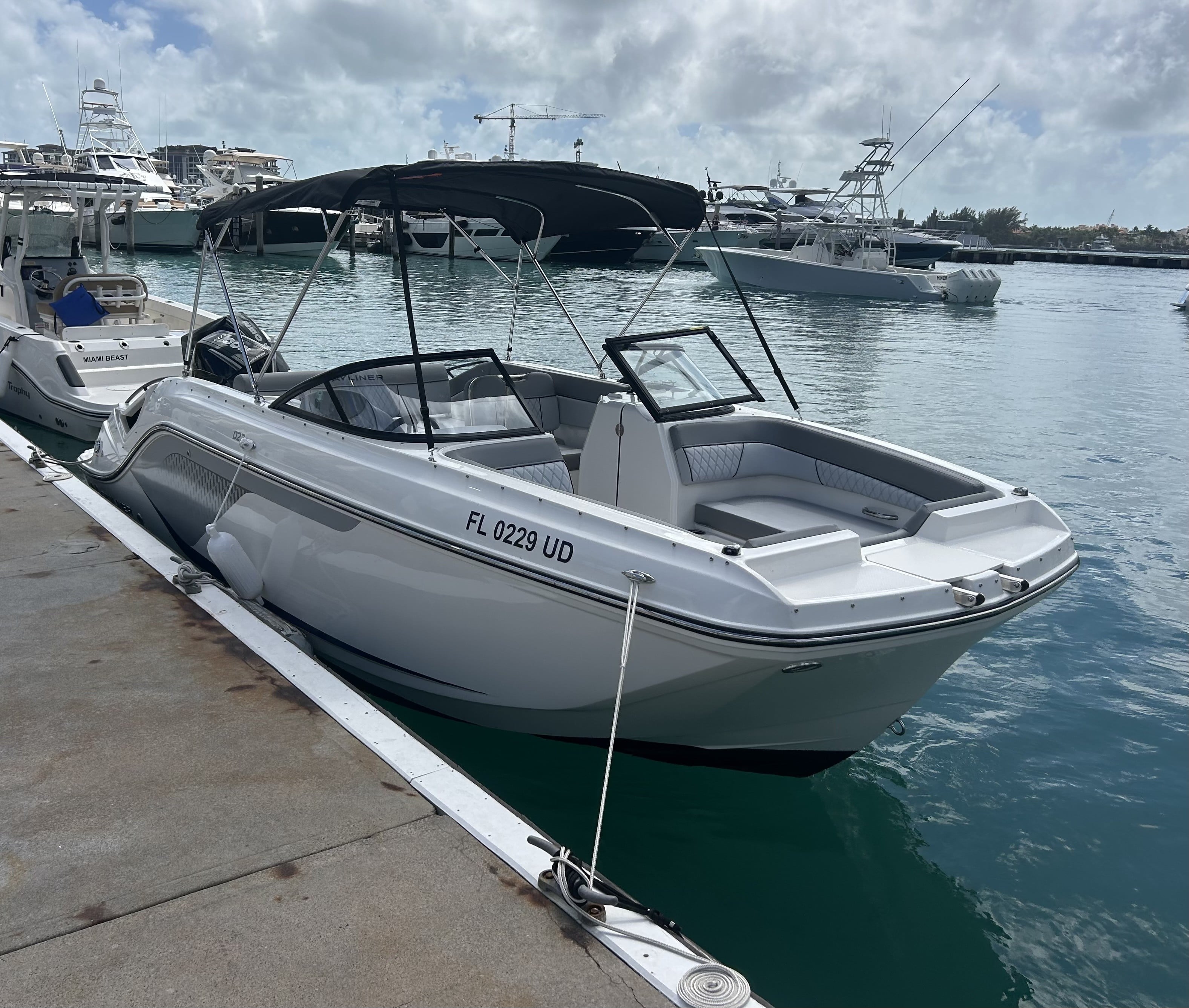 WITHOUT A CREW (22' Bayliner D22 200 HP - Cruising Only)