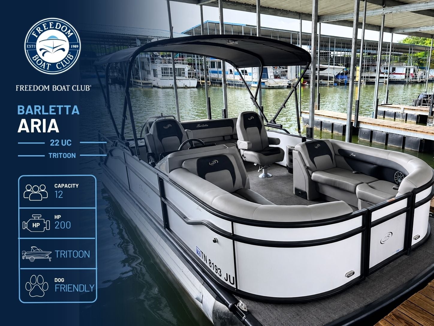 White Rabbit - Barletta Aria 22UC - Tritoon