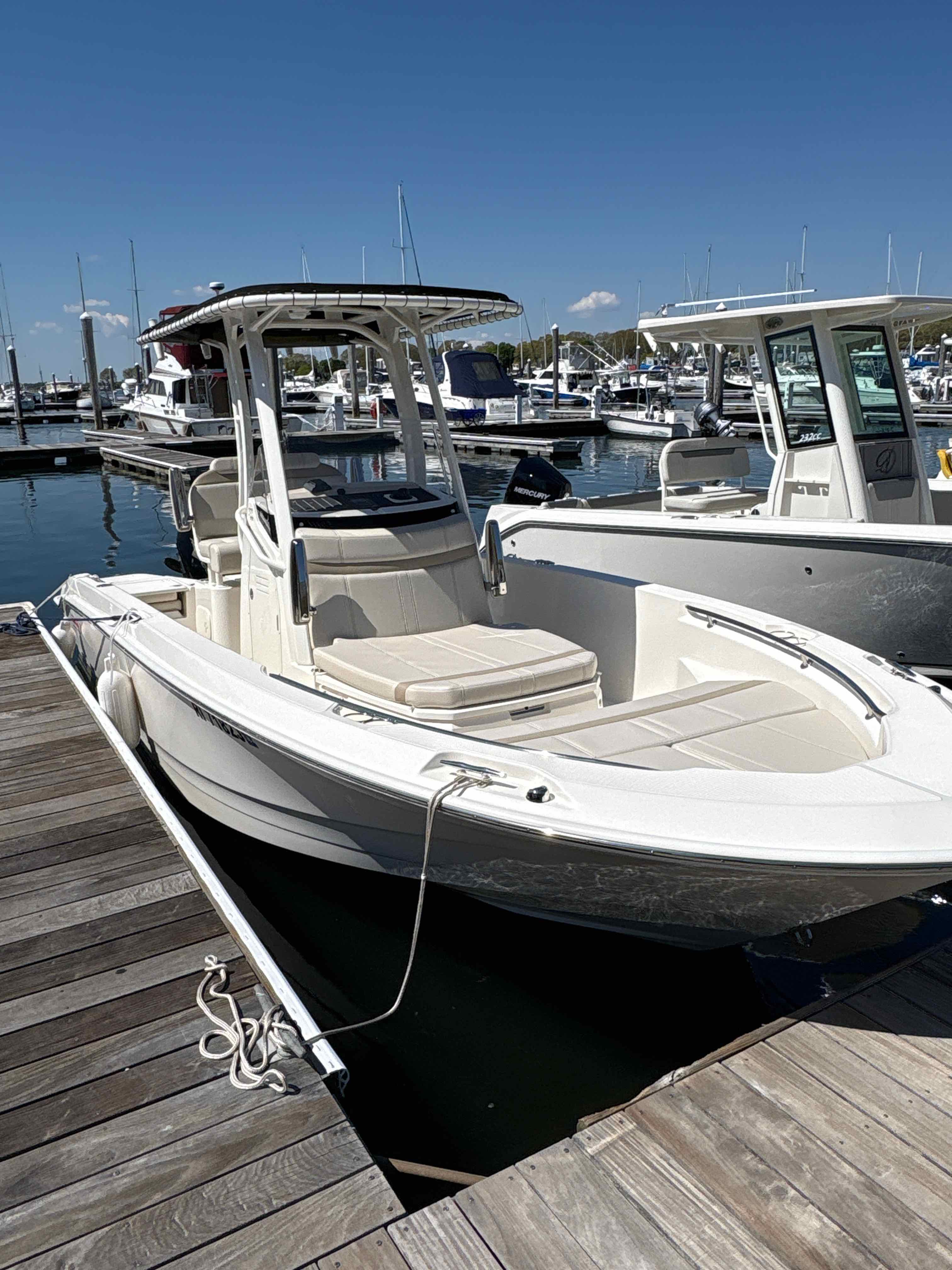 BELUGA  (Boston Whaler Dauntless 220)
